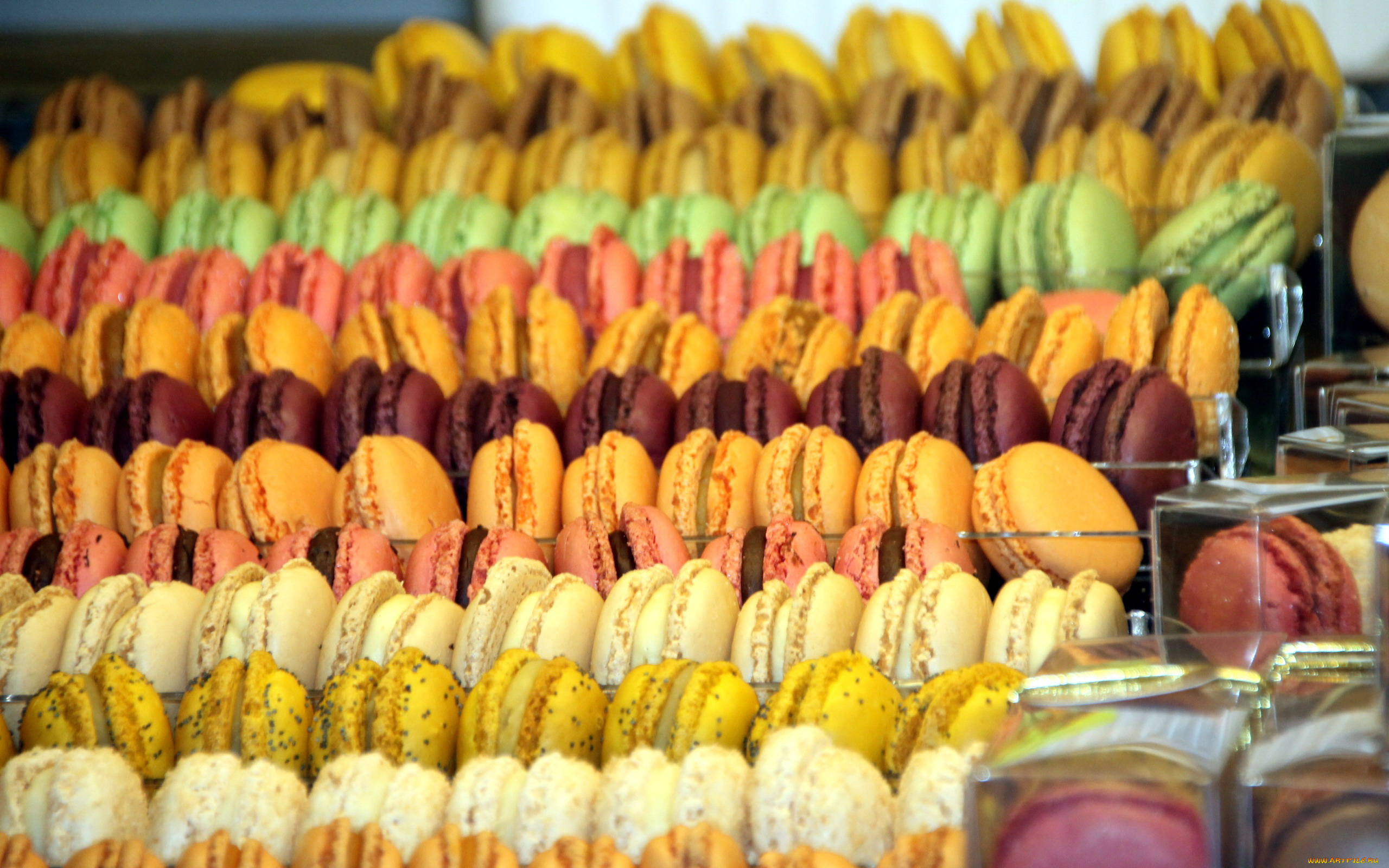 еда, макаруны, печенье, ассорти, много