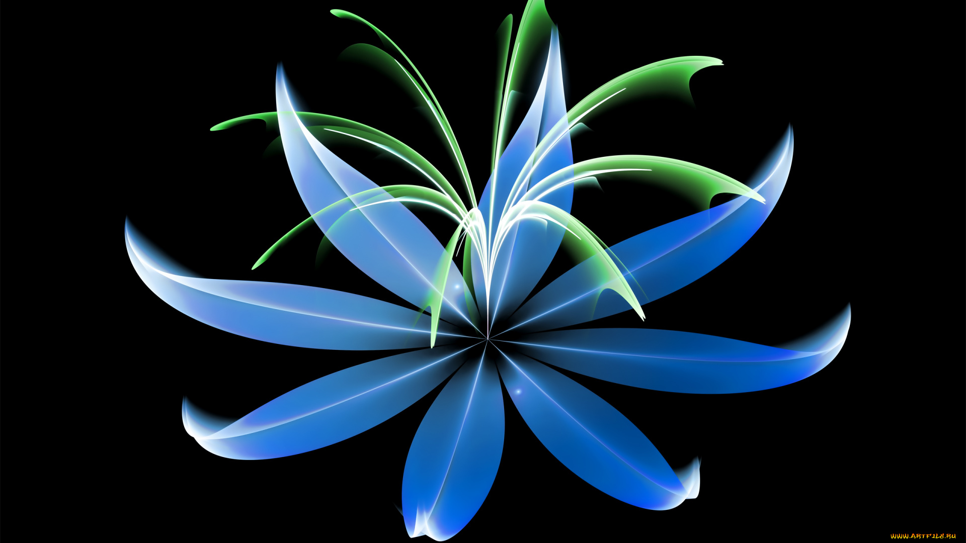 3д, графика, цветы, , flowers, фон, цвета, листья, узор