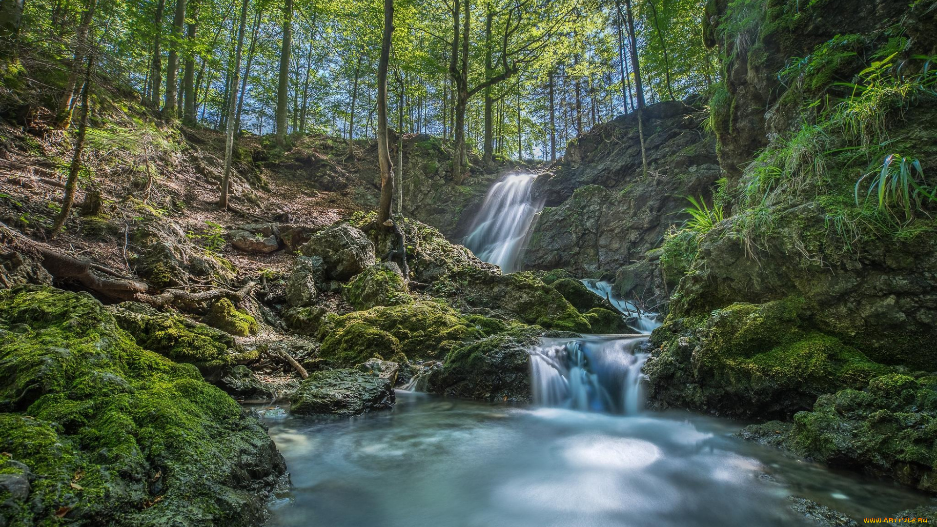 природа, реки, озера, деревья, парк, лес, речка, водопад