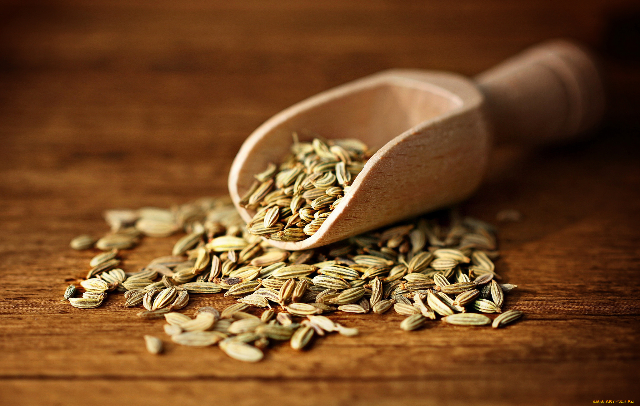 еда, разное, снедь