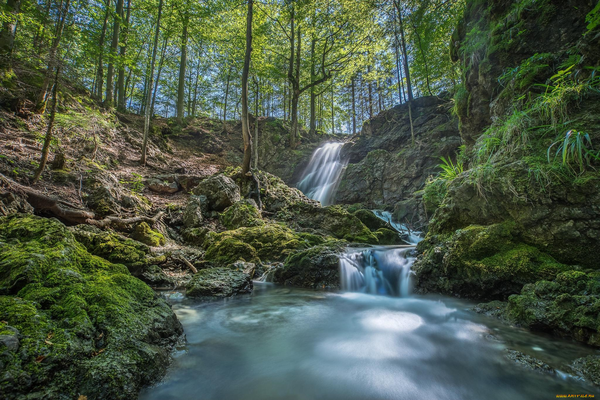 природа, реки, озера, деревья, парк, лес, речка, водопад
