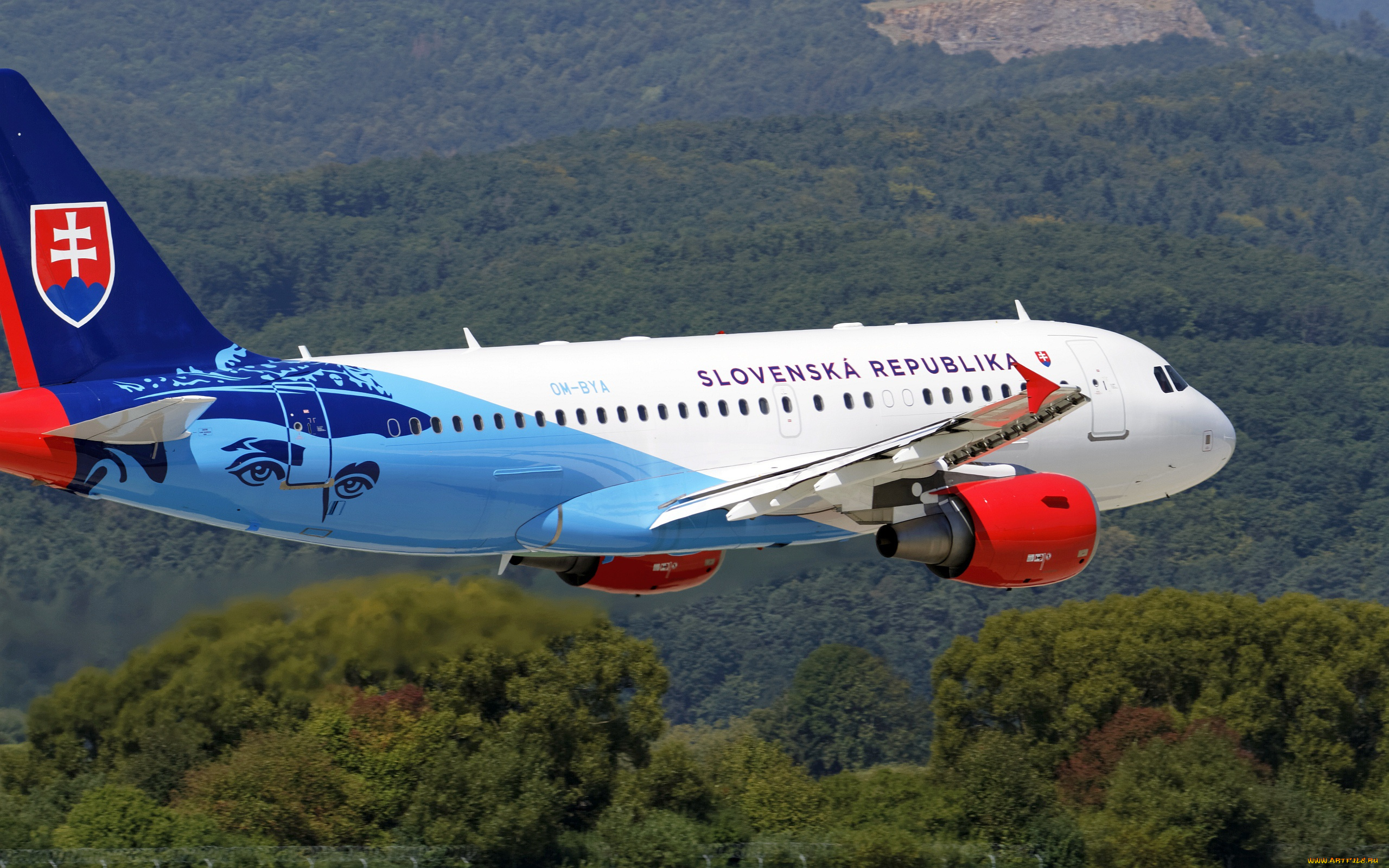 авиация, пассажирские, самолёты, самолет, airbus, взлет, a319-115x