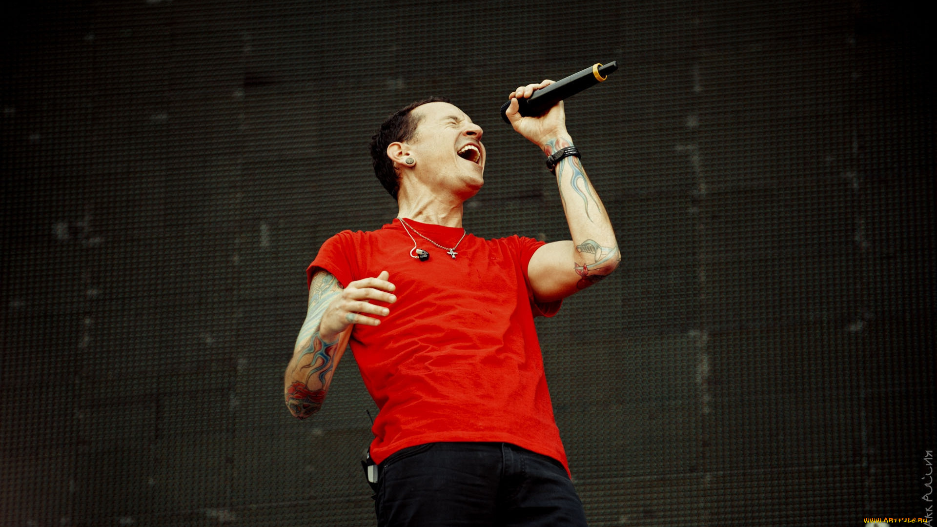 музыка, -временный, музыкант