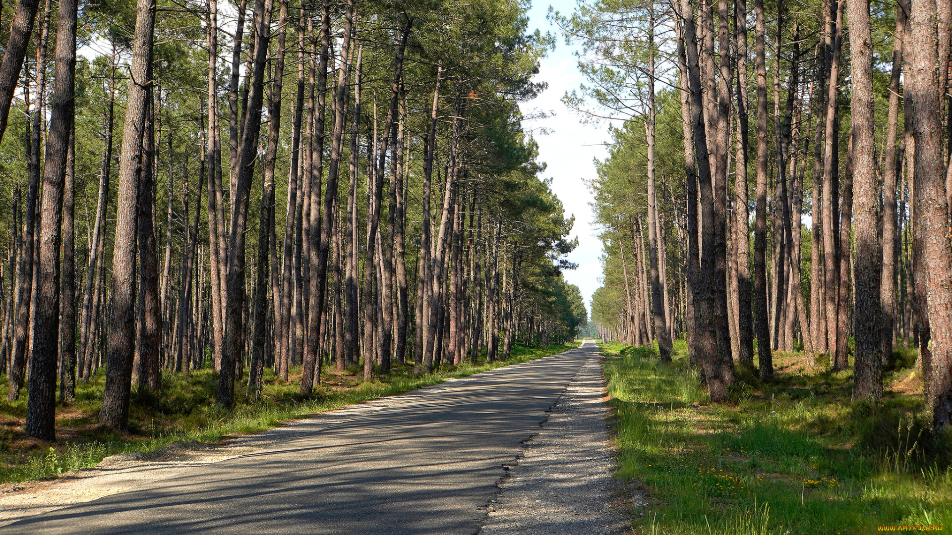 природа, дороги, простор