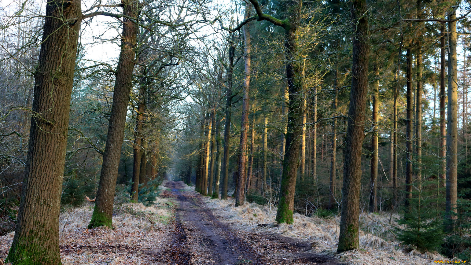 природа, дороги, простор