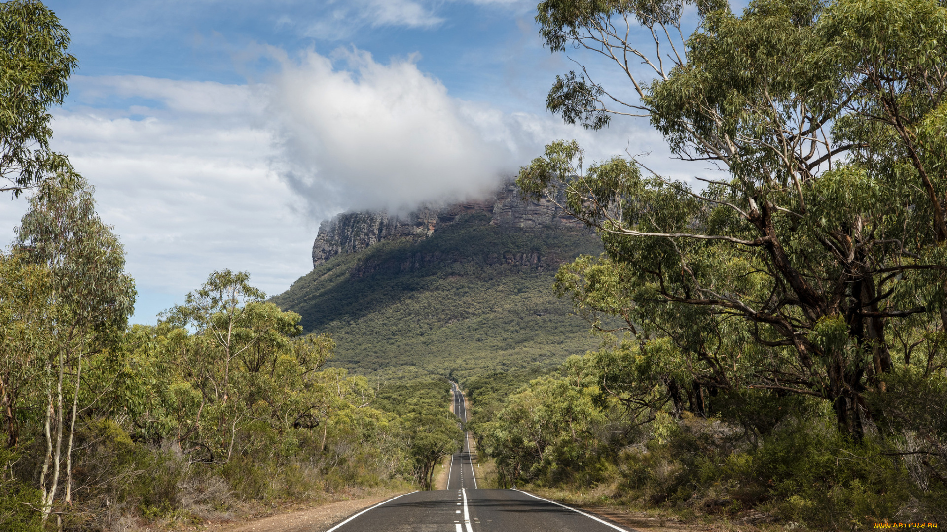 природа, дороги, простор