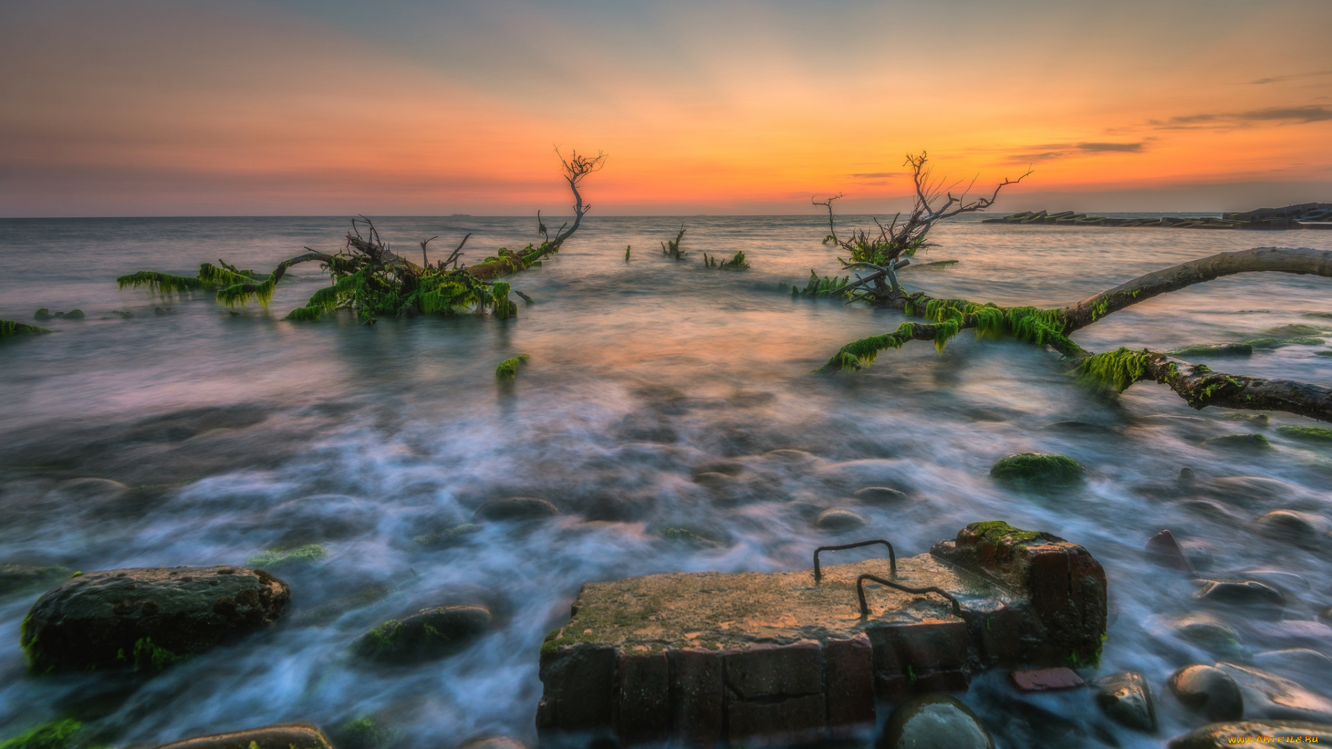 природа, побережье, простор