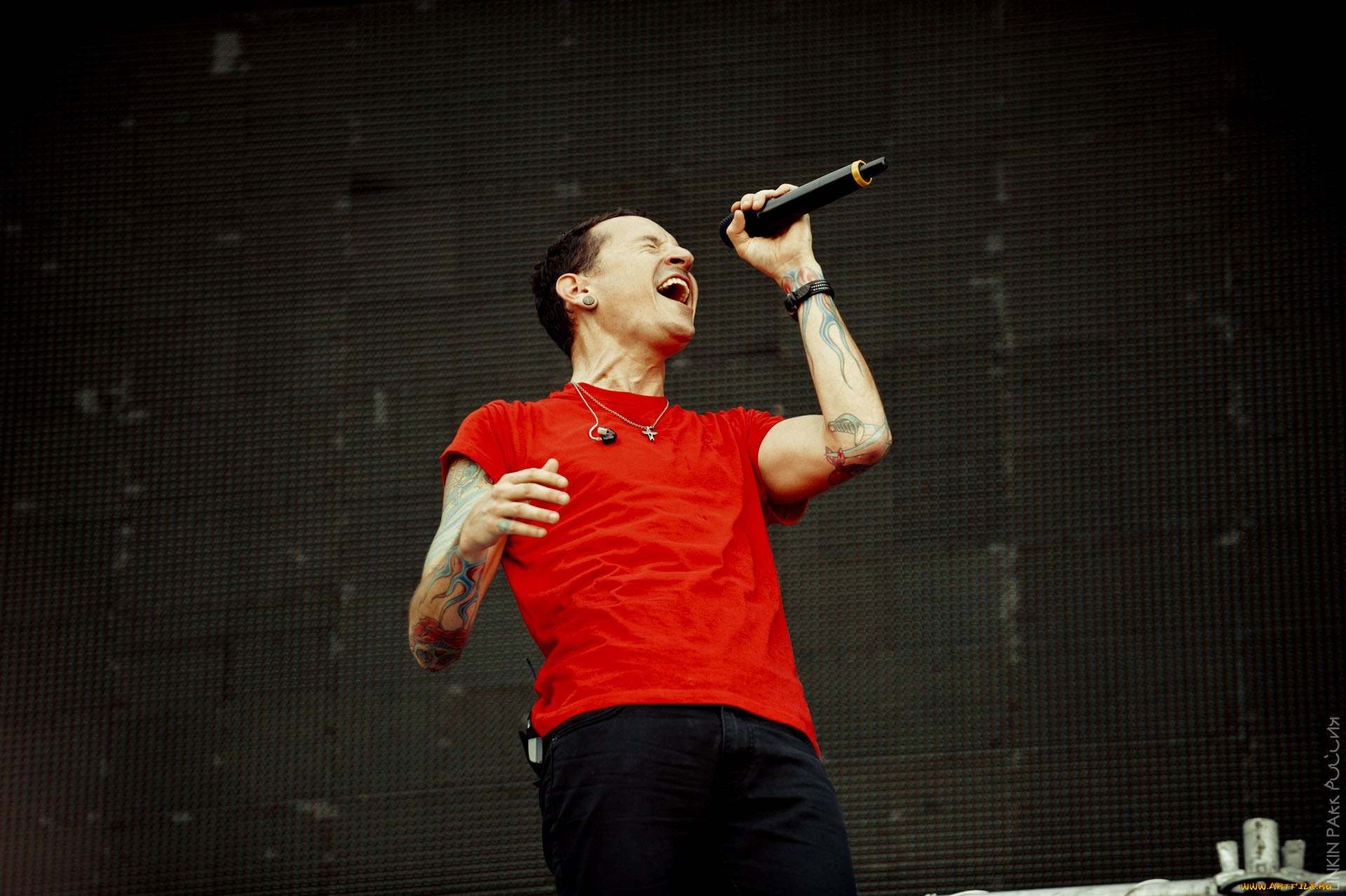 музыка, -временный, музыкант