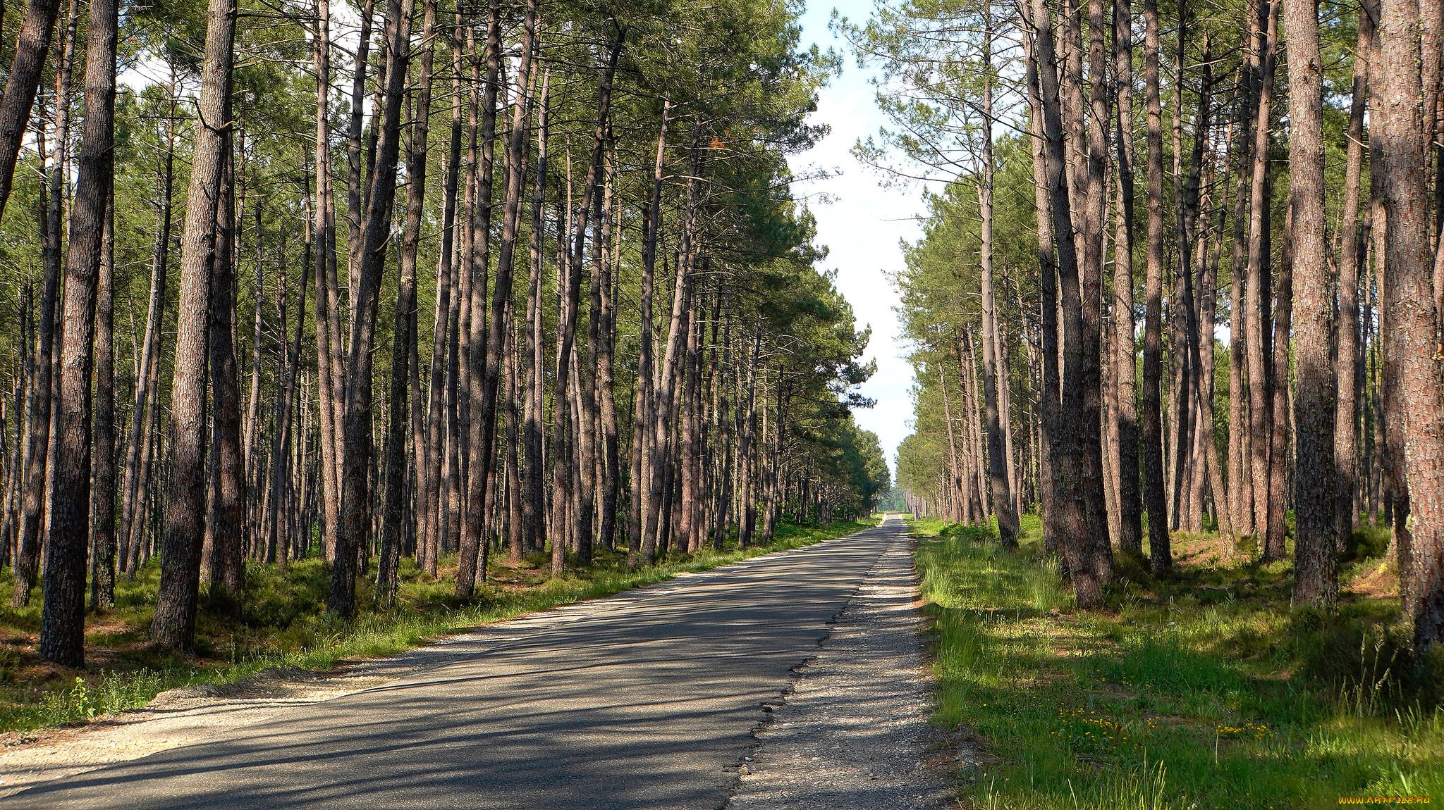 природа, дороги, простор