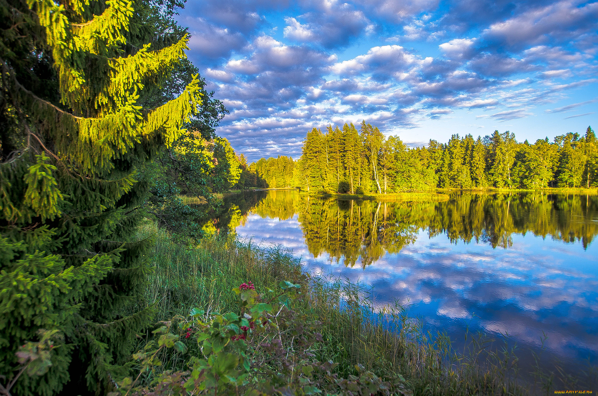 природа, реки, озера, простор