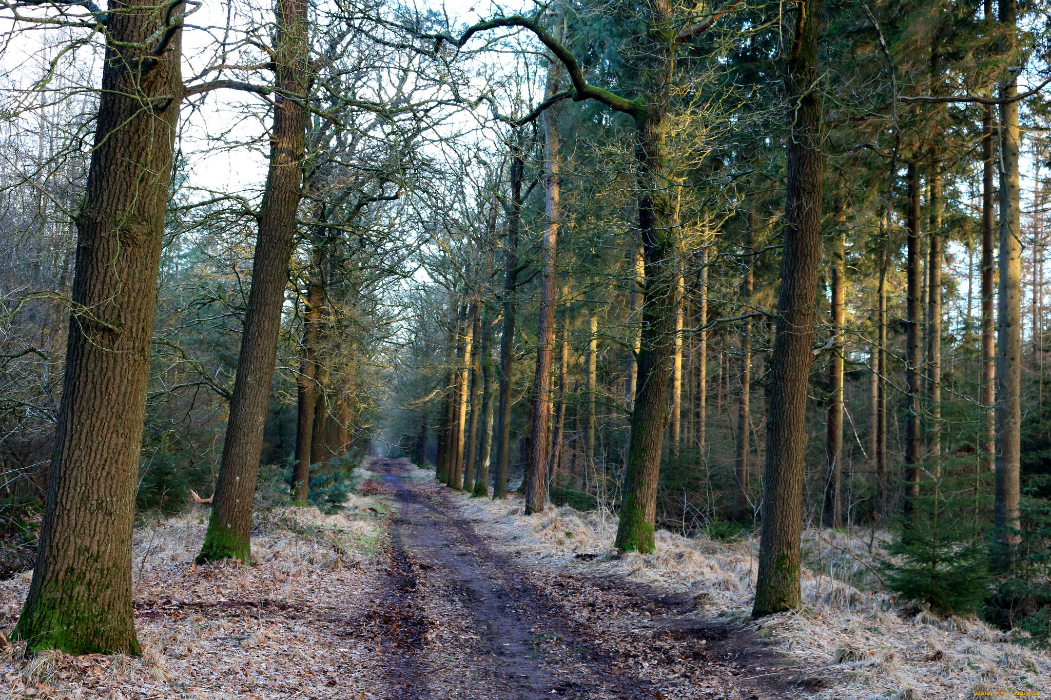 природа, дороги, простор