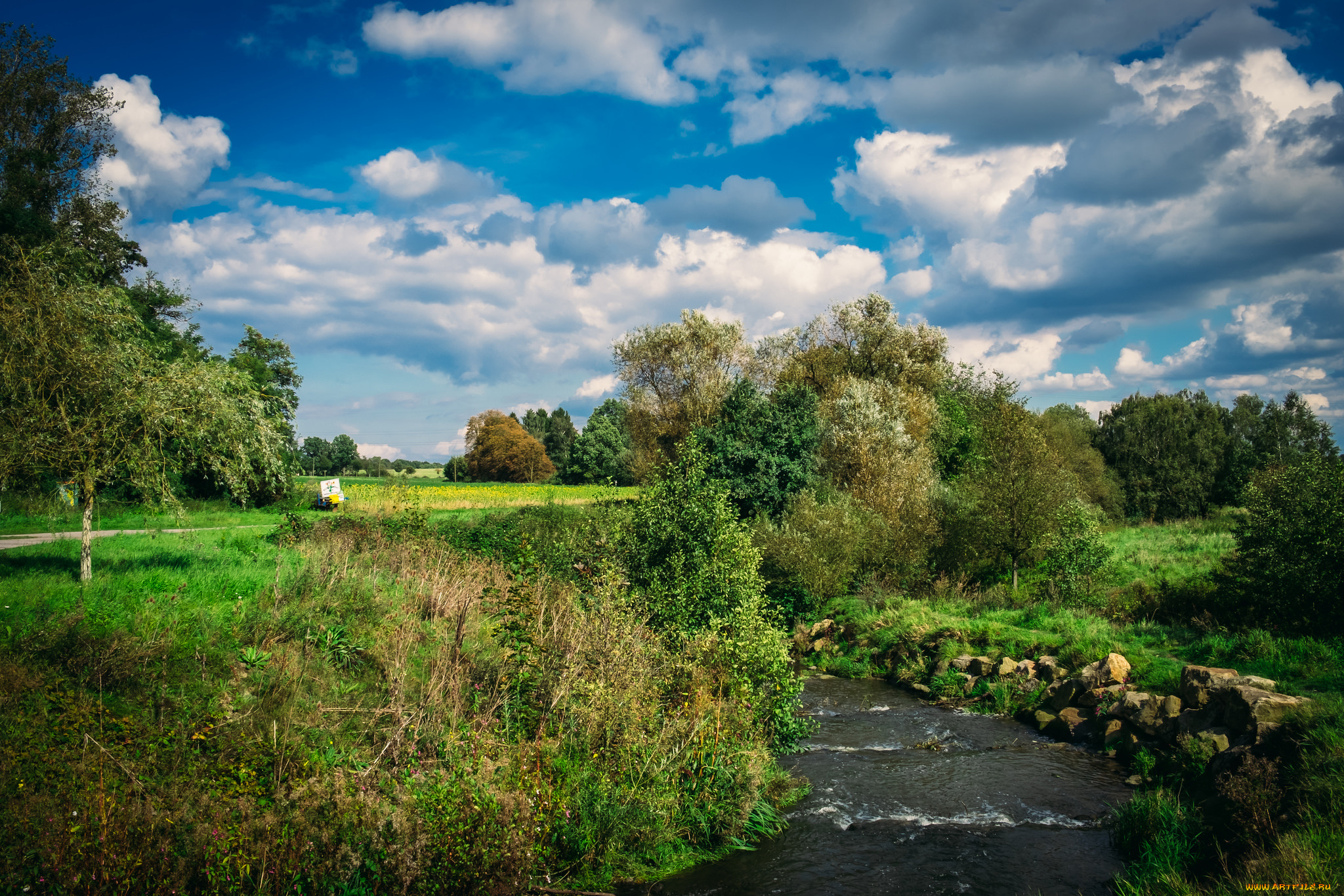 природа, реки, озера, простор