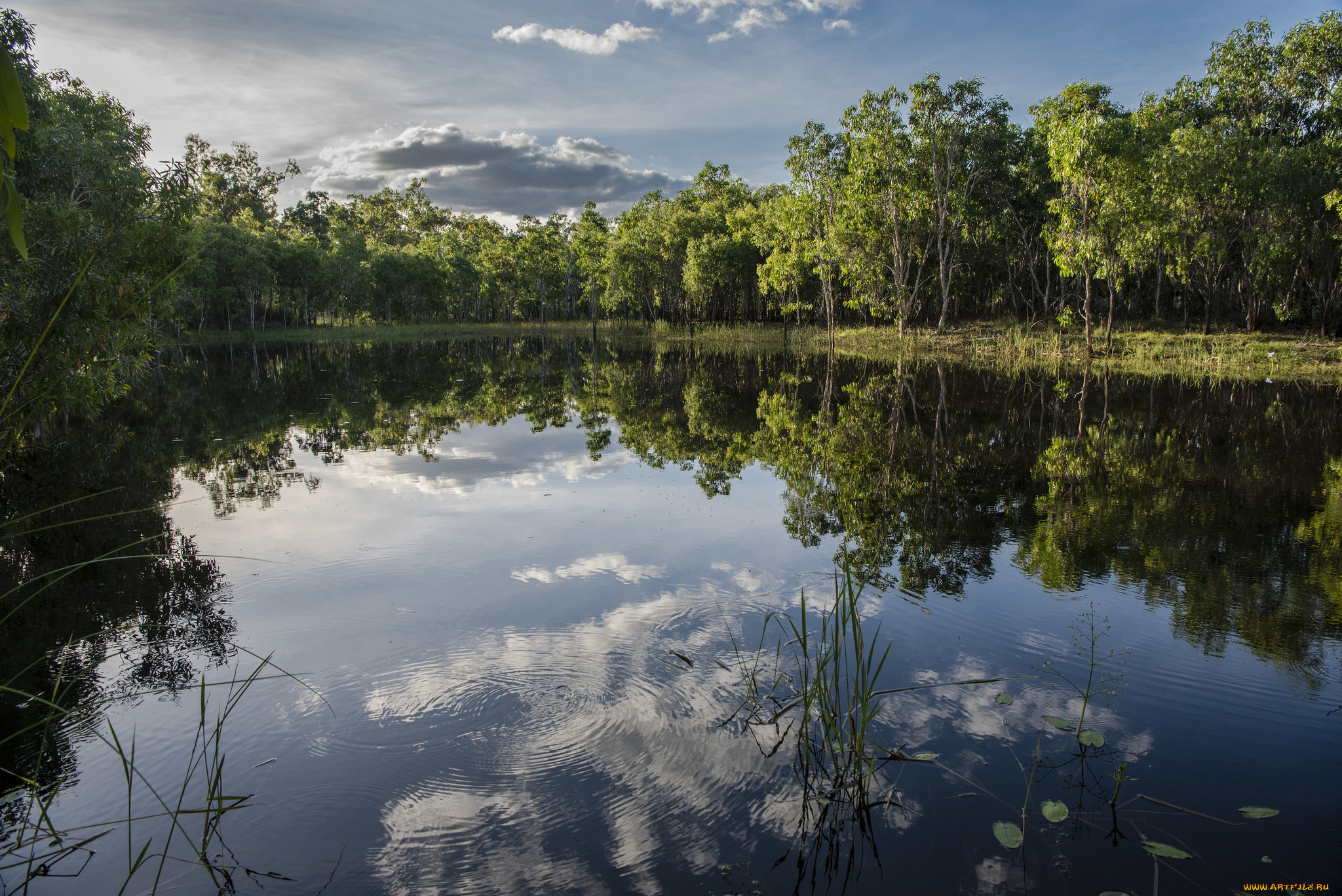 природа, реки, озера, простор