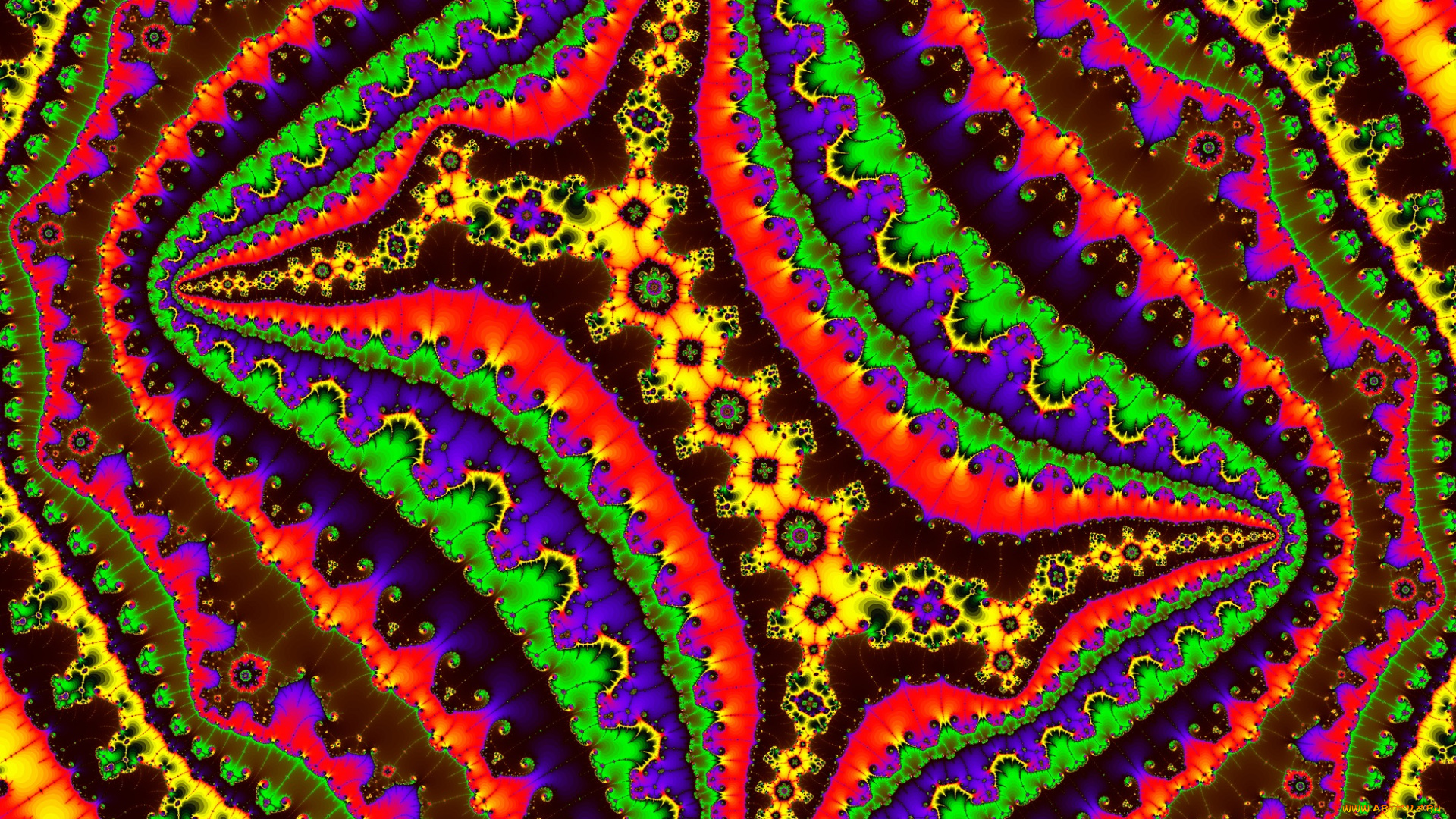 3д, графика, фракталы, , fractal, цвет, фон, узор