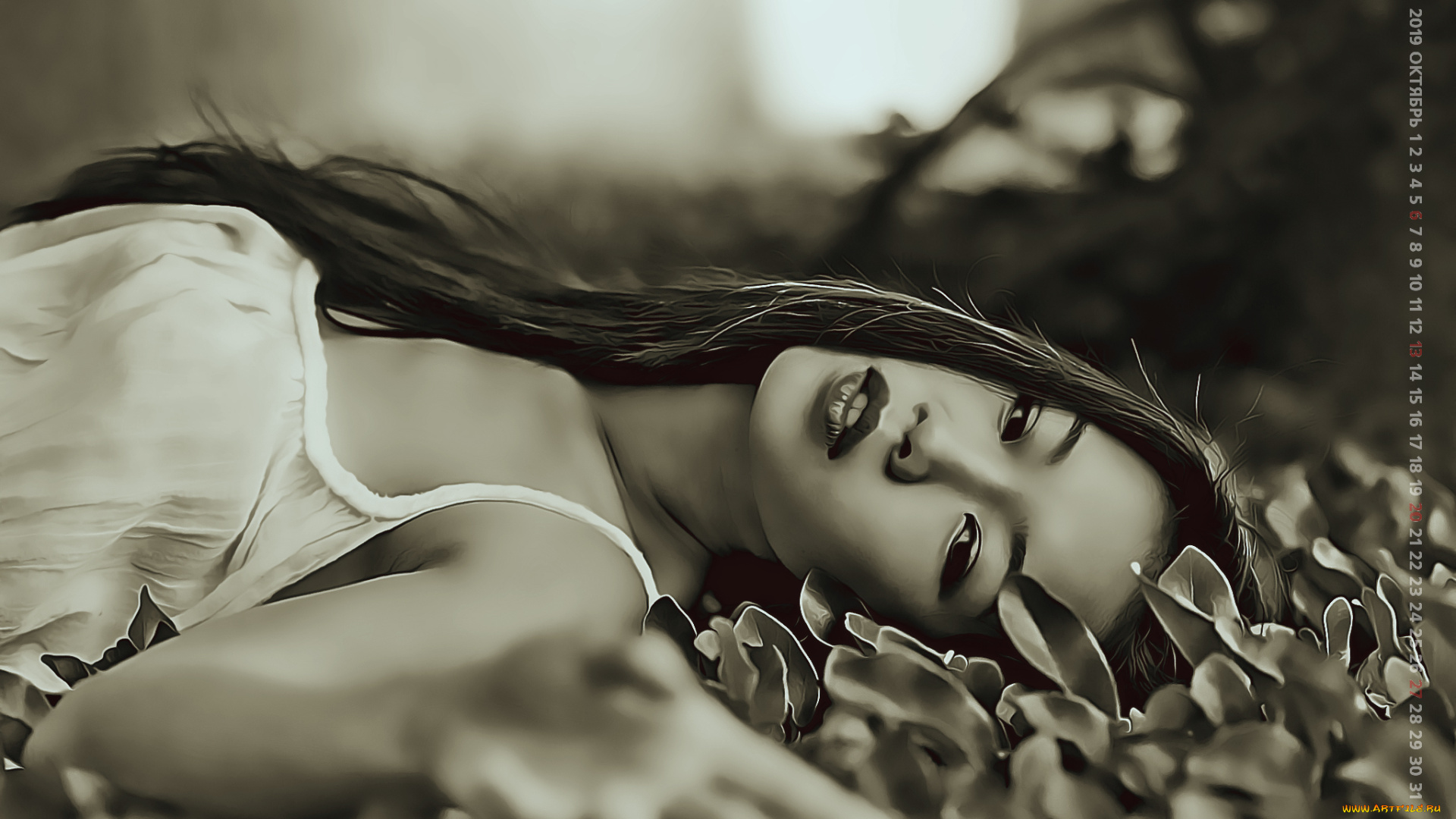 календари, компьютерный, дизайн, девушка, женщина, calendar, растение, 2019