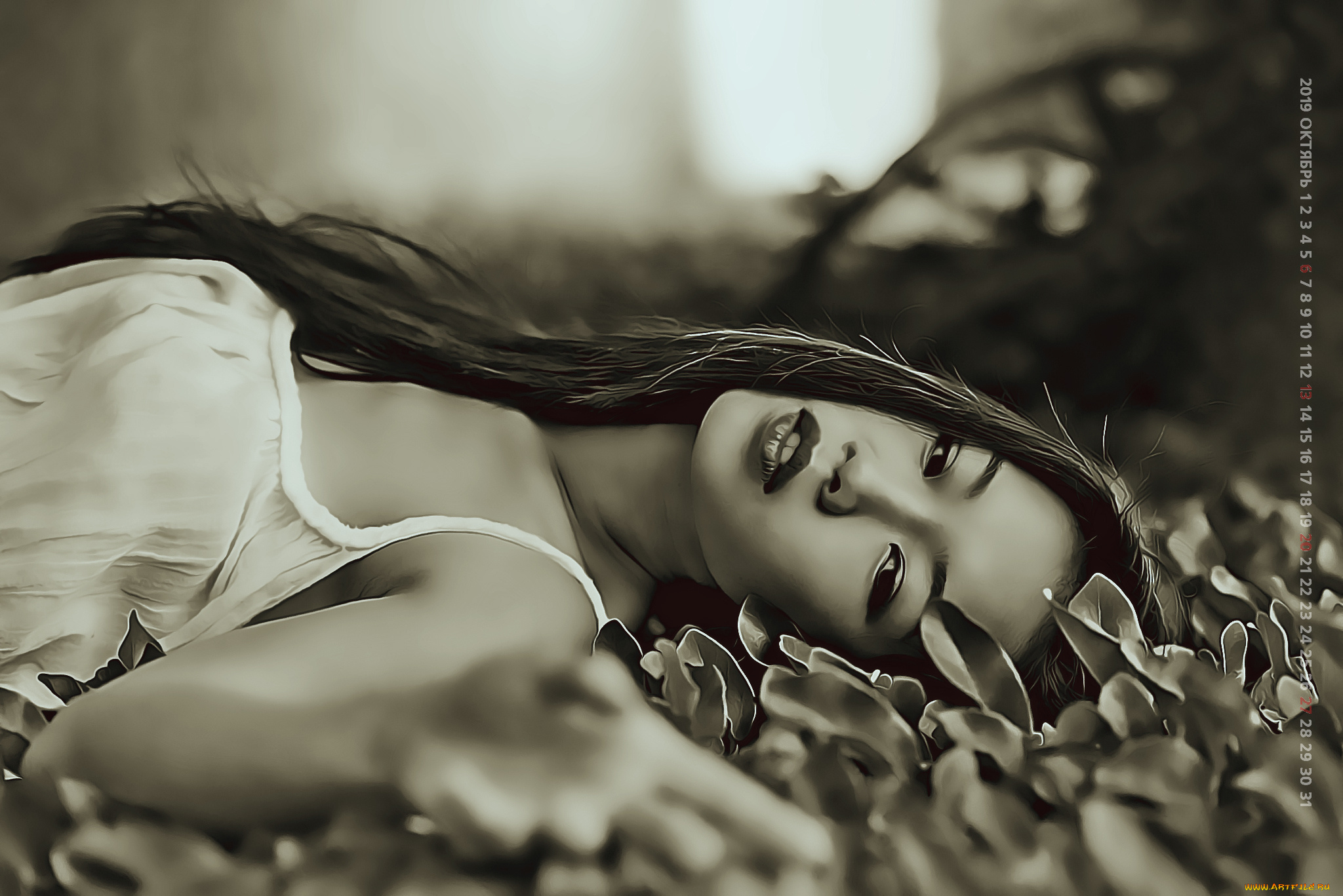 календари, компьютерный, дизайн, девушка, женщина, calendar, растение, 2019