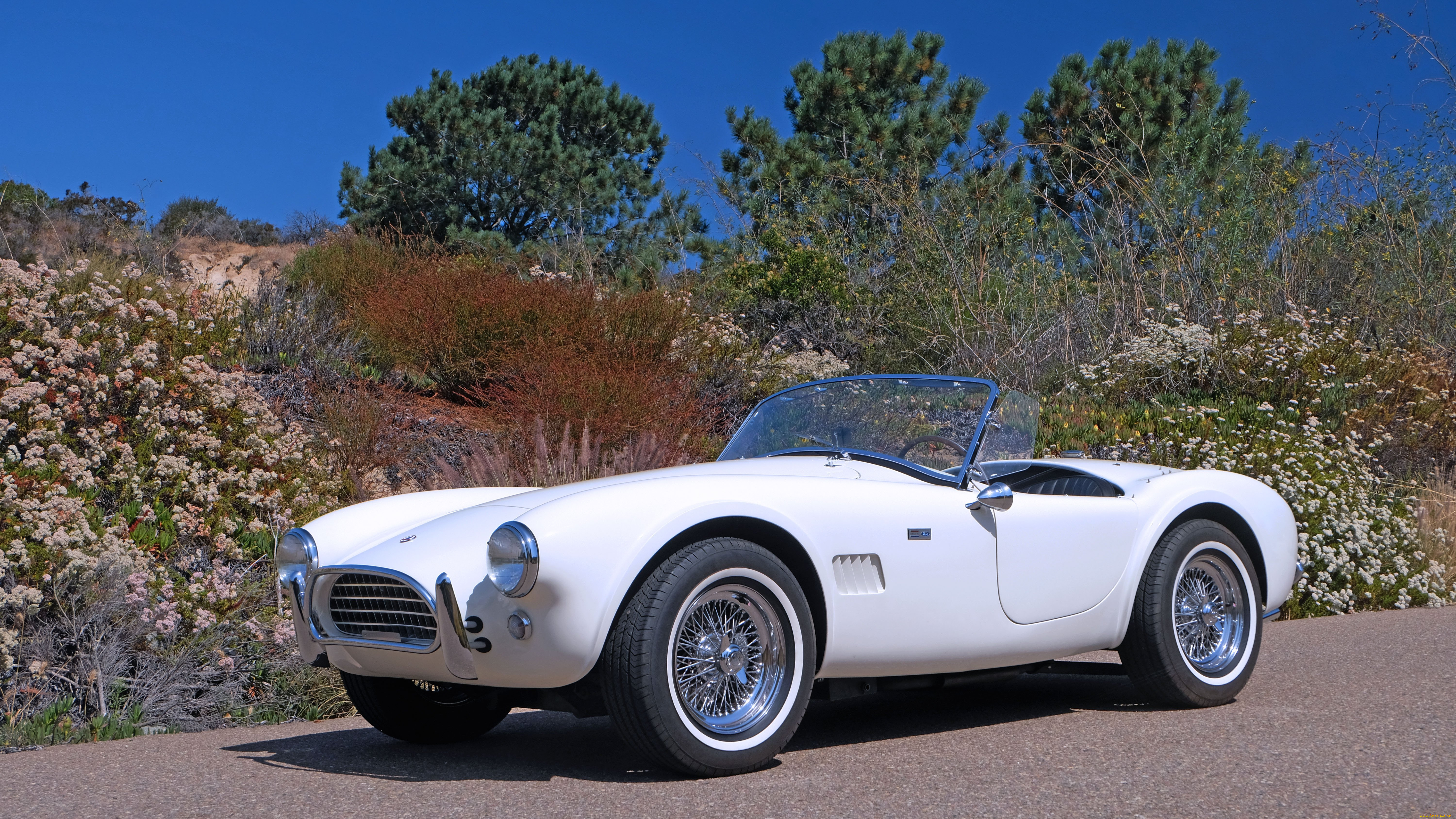 автомобили, ac, cobra, shelby, cobra