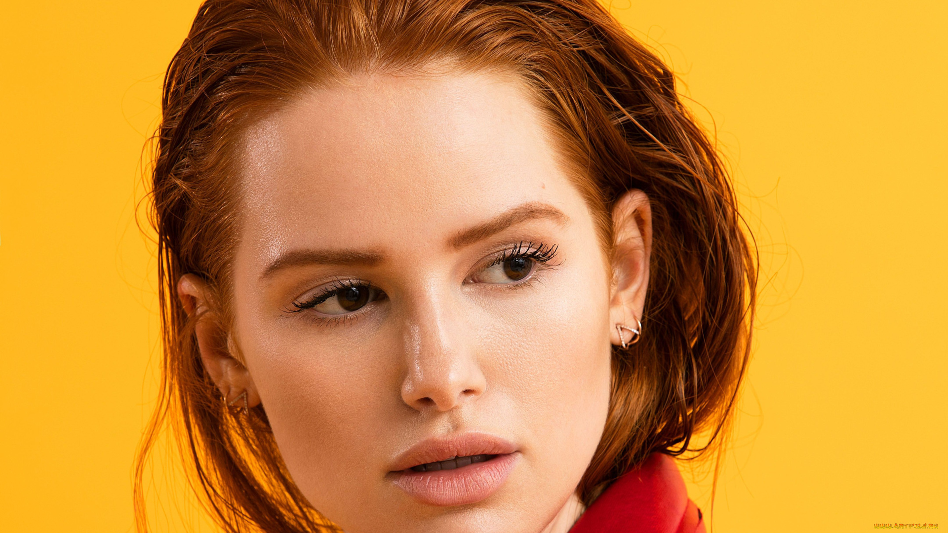 madelaine, petsch, девушки, -, брюнетки, , шатенки, девушка