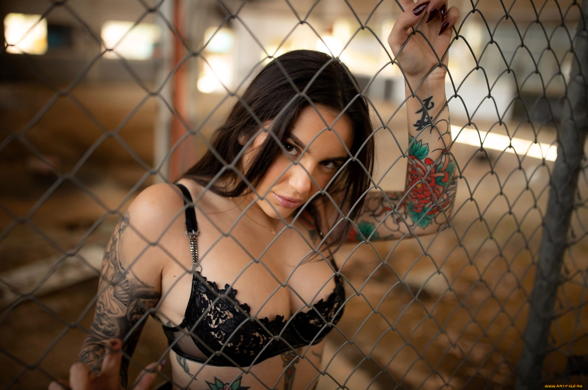 девушки, -, лица, , портреты, шатенка, белье, тату, сетка, решетка