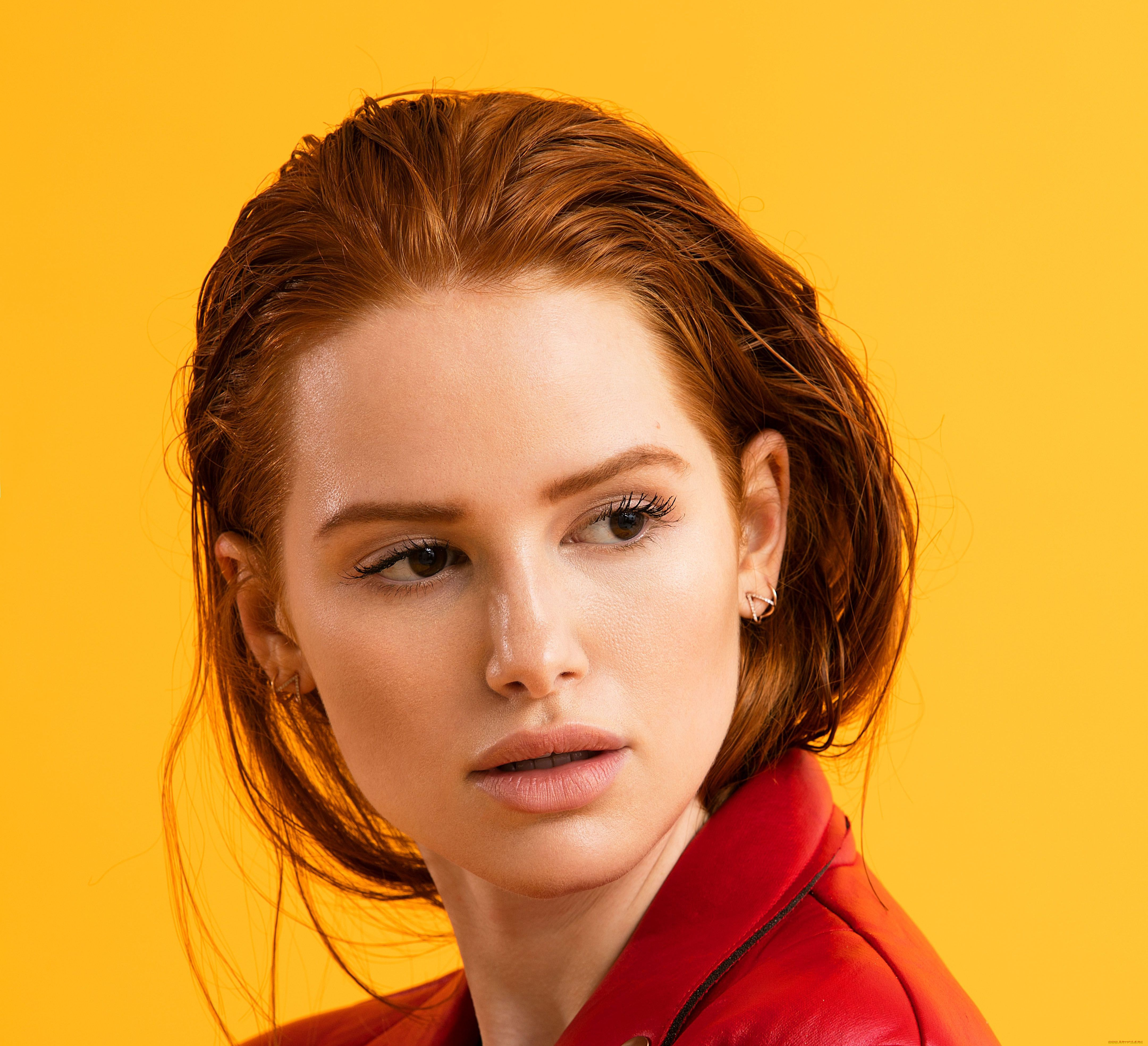 madelaine, petsch, девушки, -, брюнетки, , шатенки, девушка