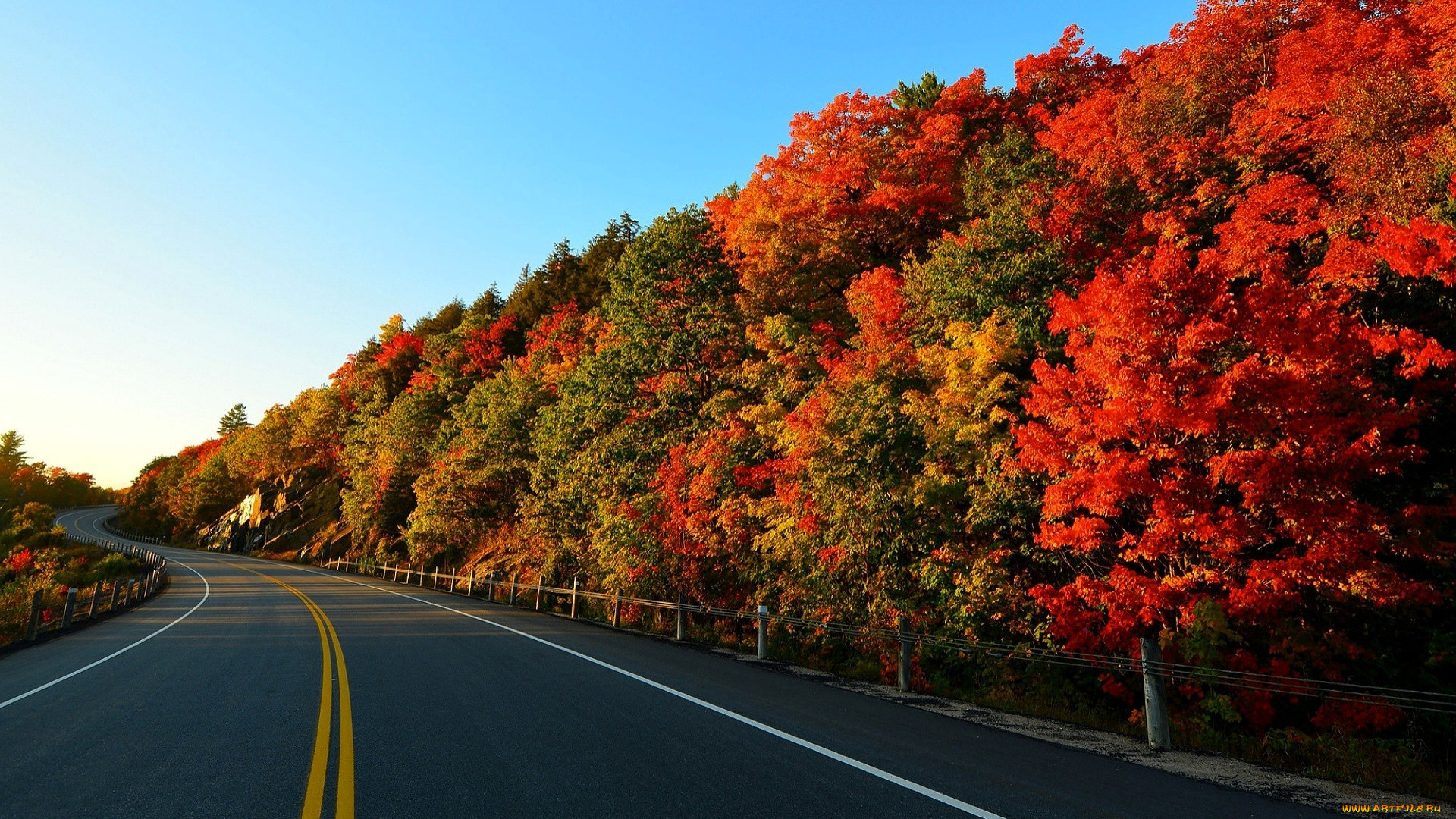 природа, дороги, лес, осень, дорога, шоссе