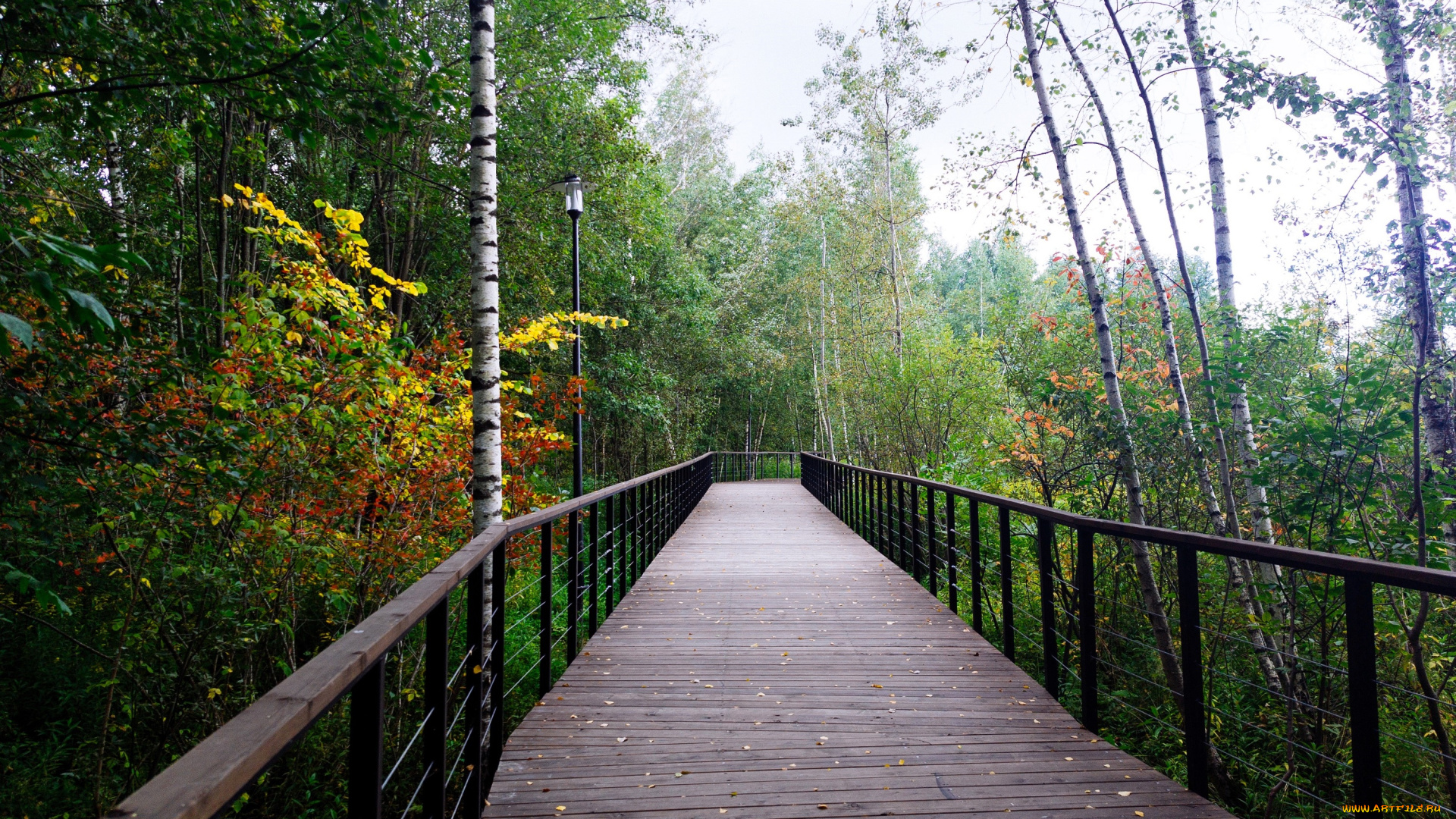 природа, дороги, парк, осень, мост, дорога, фонари, деревья