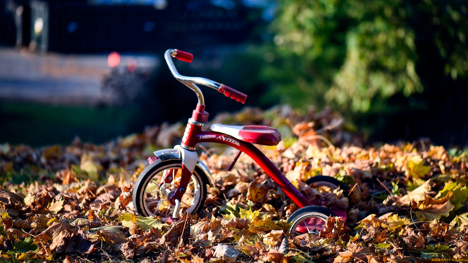 разное, игрушки, велосипед, листья, осень