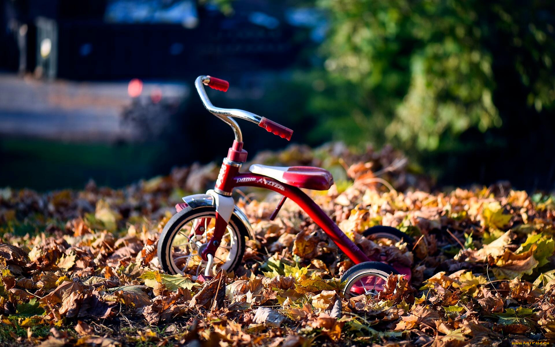 разное, игрушки, велосипед, листья, осень