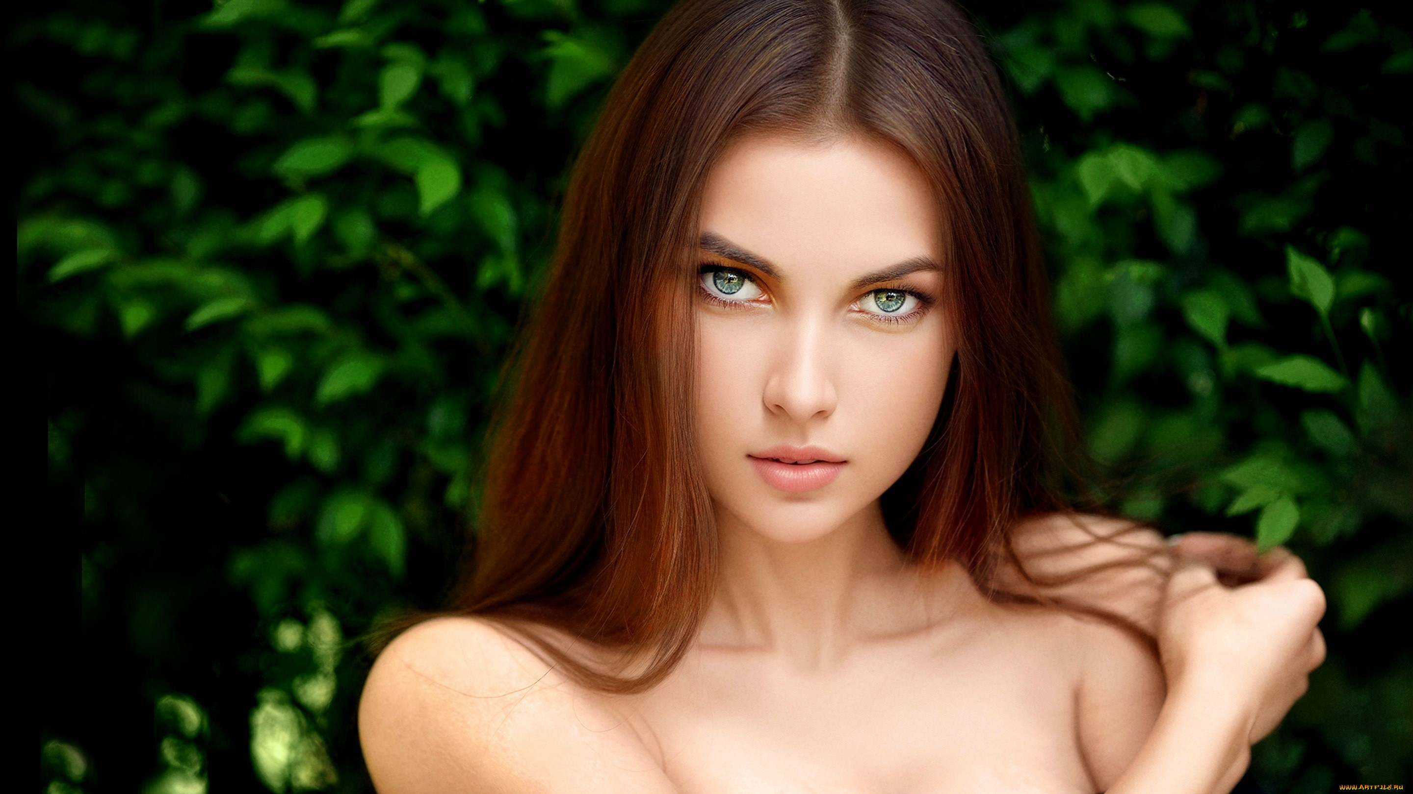 девушки, -, лица, , портреты, шатенка, лицо, кусты