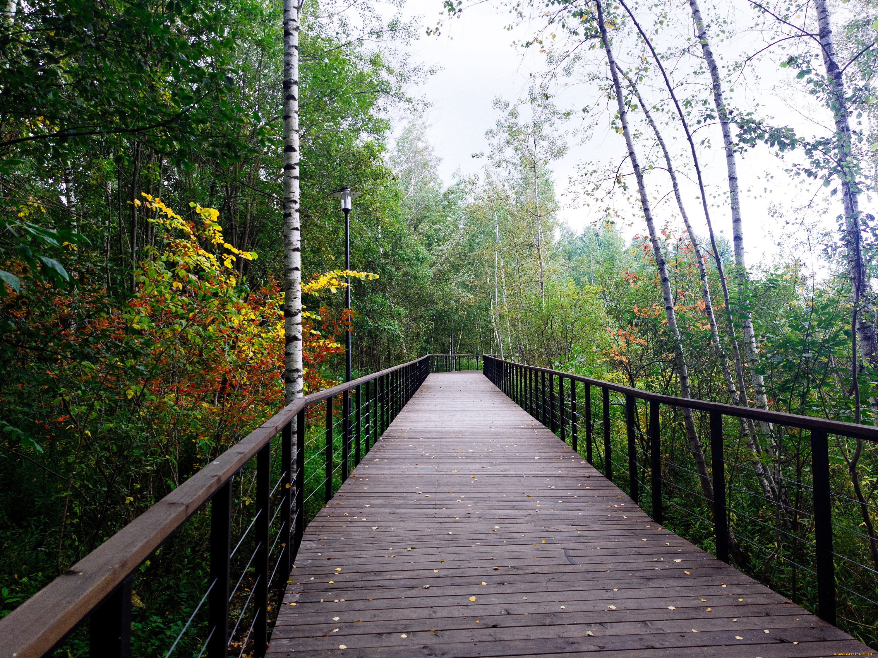 природа, дороги, парк, осень, мост, дорога, фонари, деревья