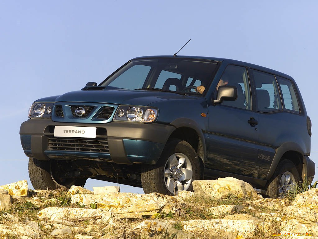 terrano, автомобили, nissan, datsun