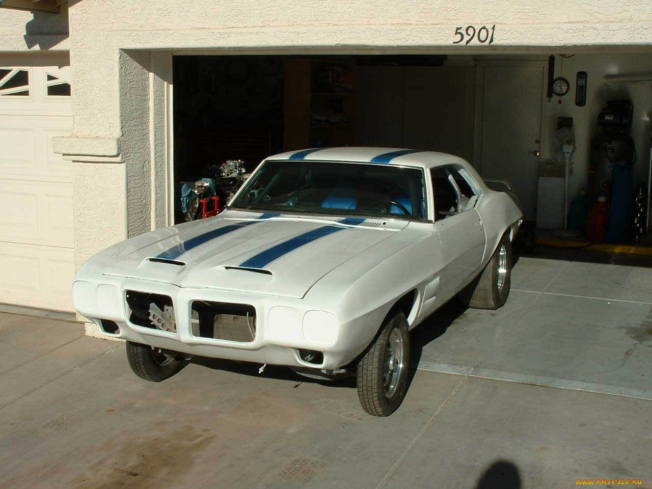 gto, автомобили, выставки, уличные, фото