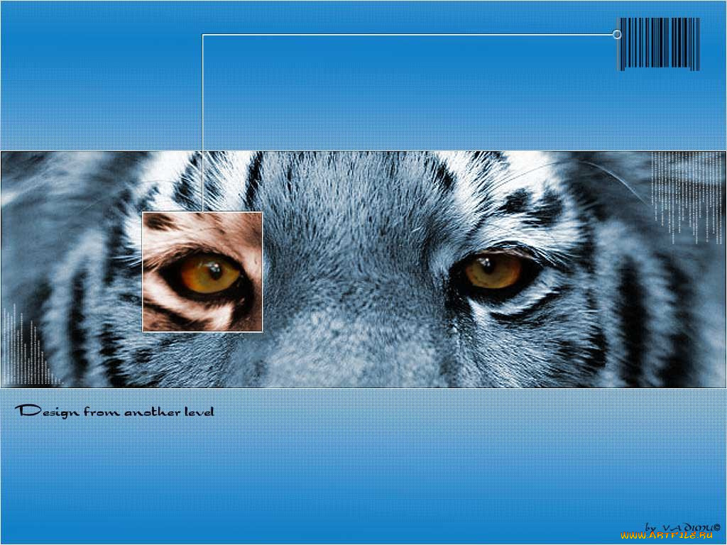 животные, тигры