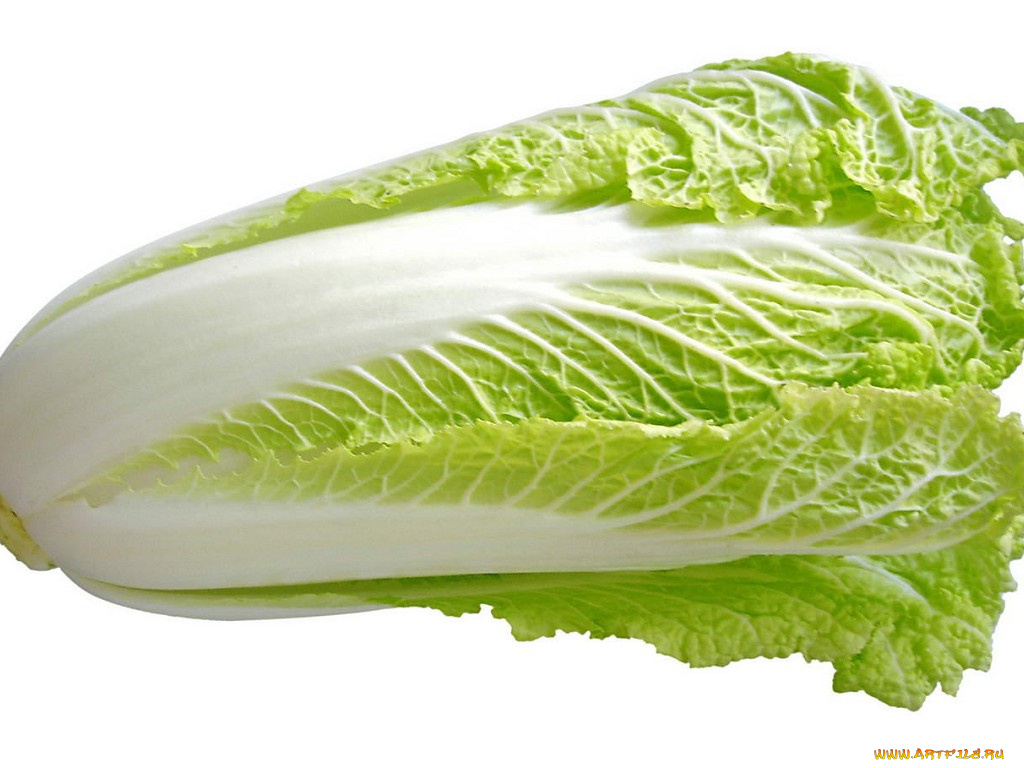 еда, капуста, её, разновидности