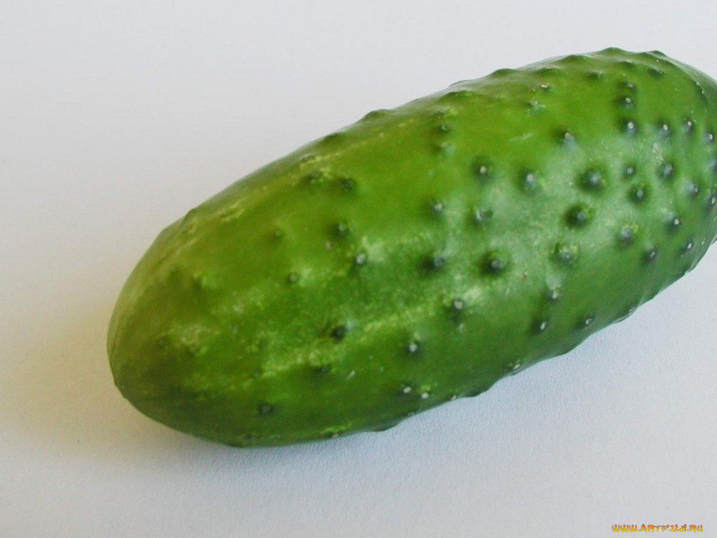 еда, огурцы