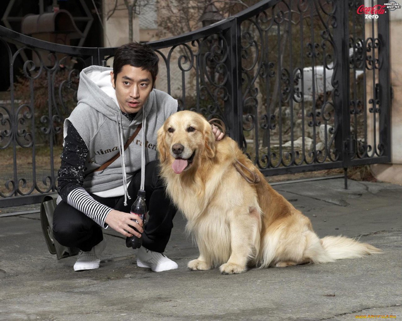 бренды, coca, cola