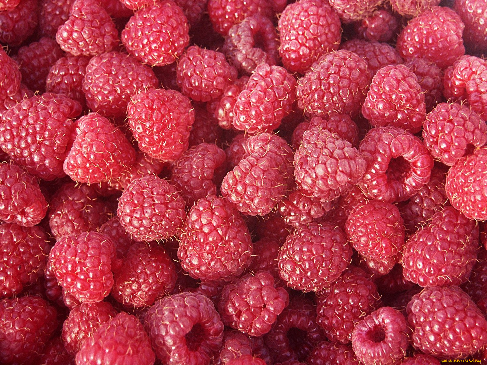 еда, малина