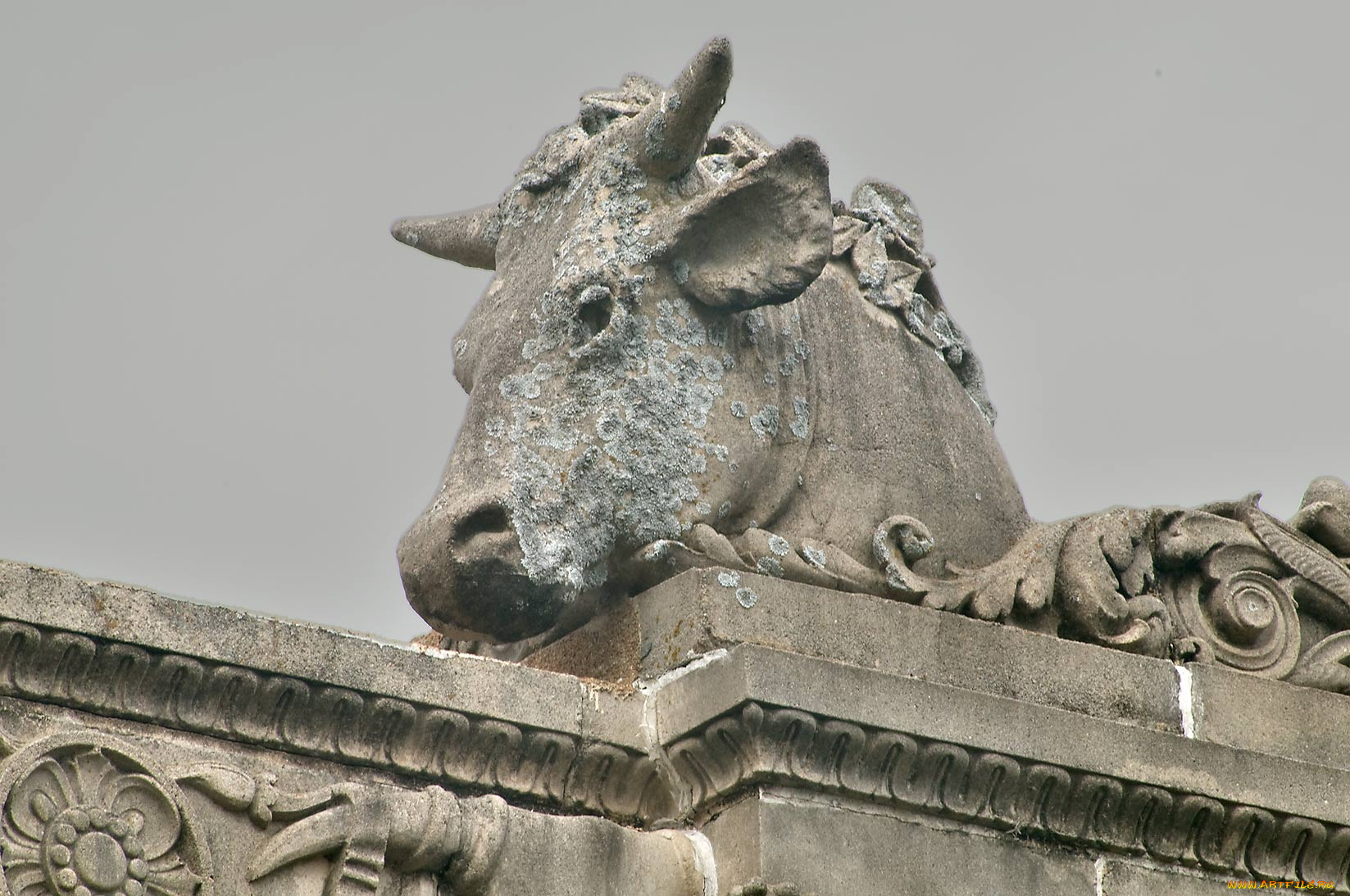 разное, элементы, архитектуры, корова