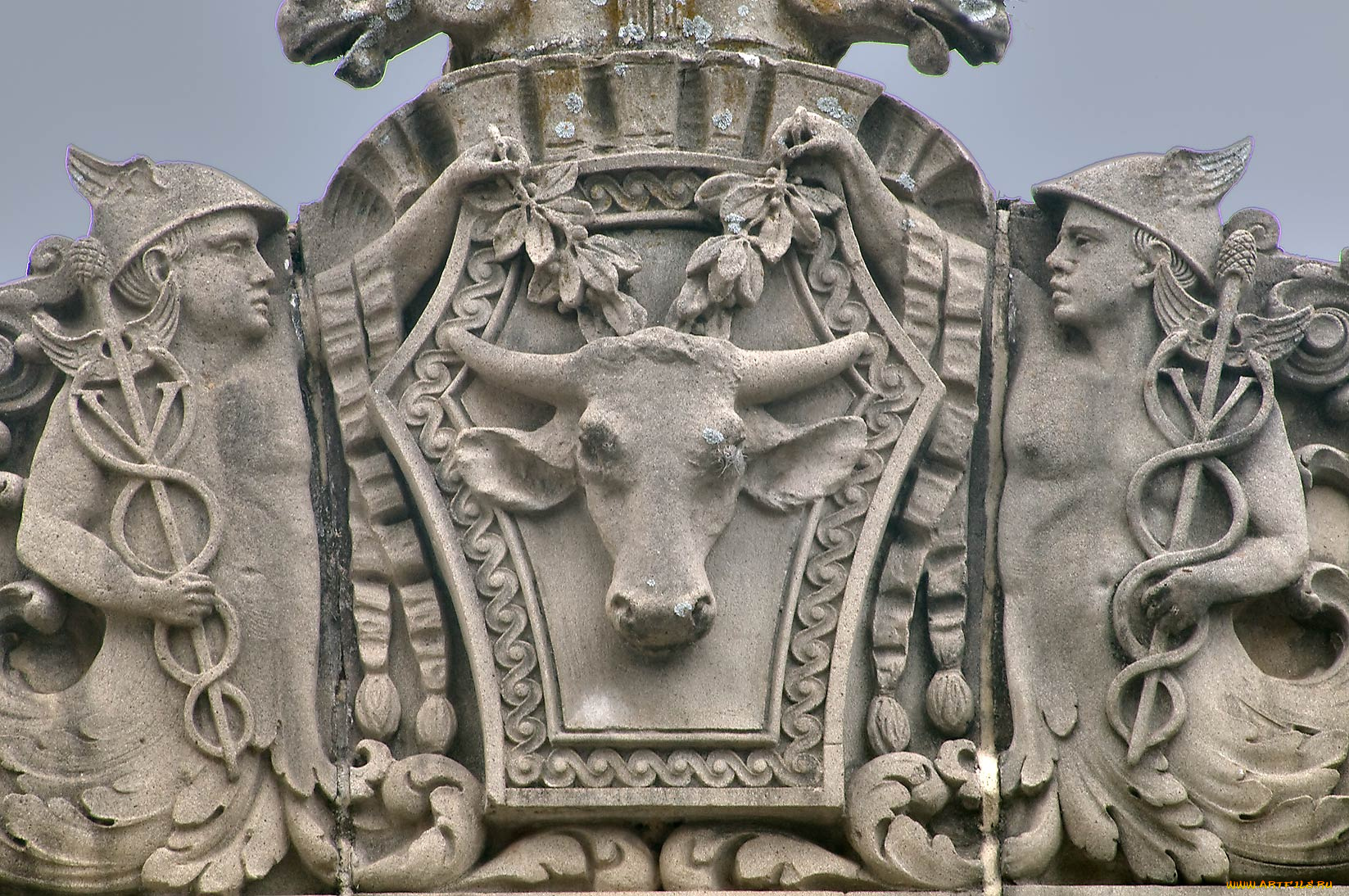 разное, элементы, архитектуры, корова