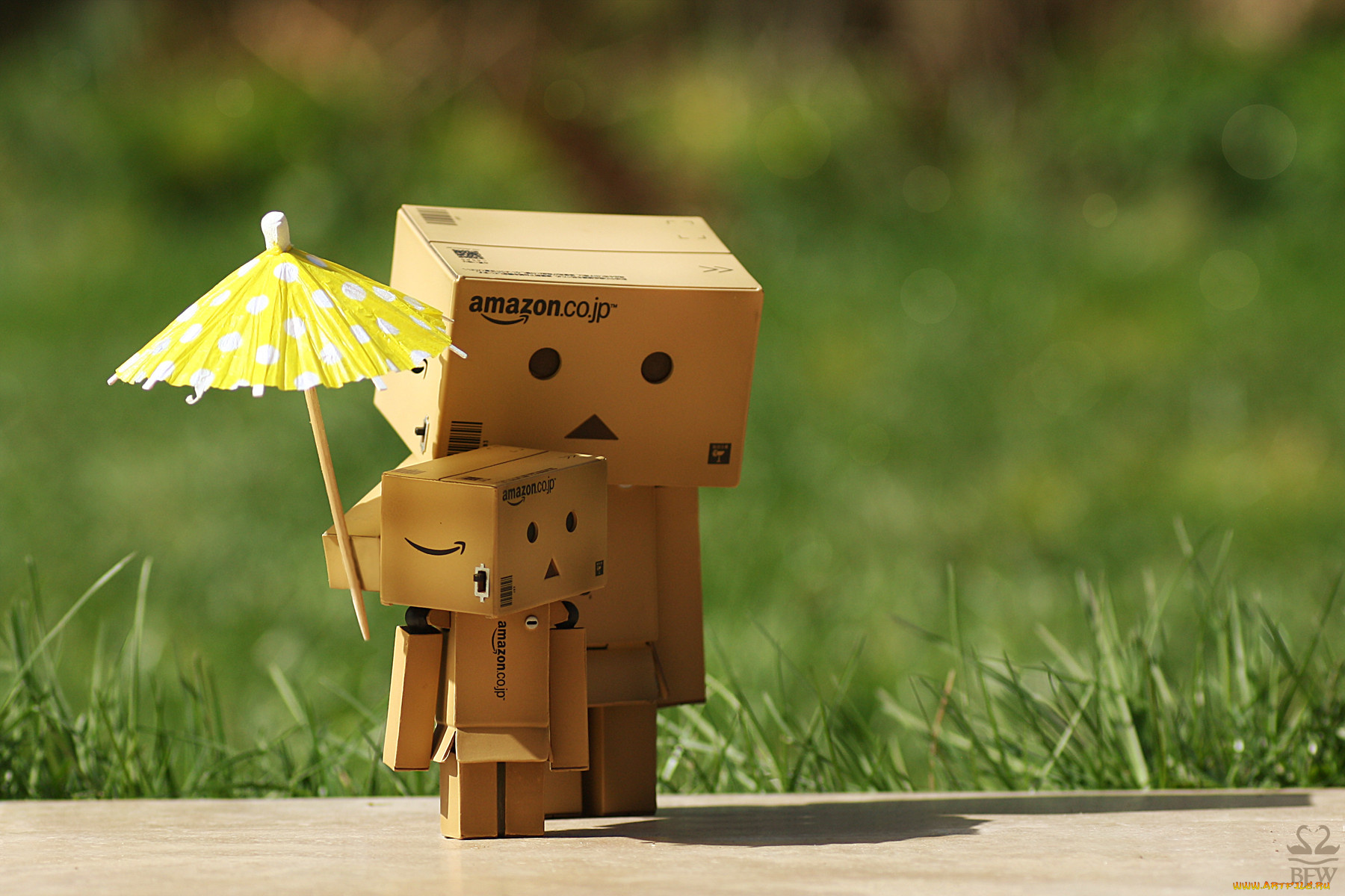 разное, данбо, danboard, зонтик, коробки