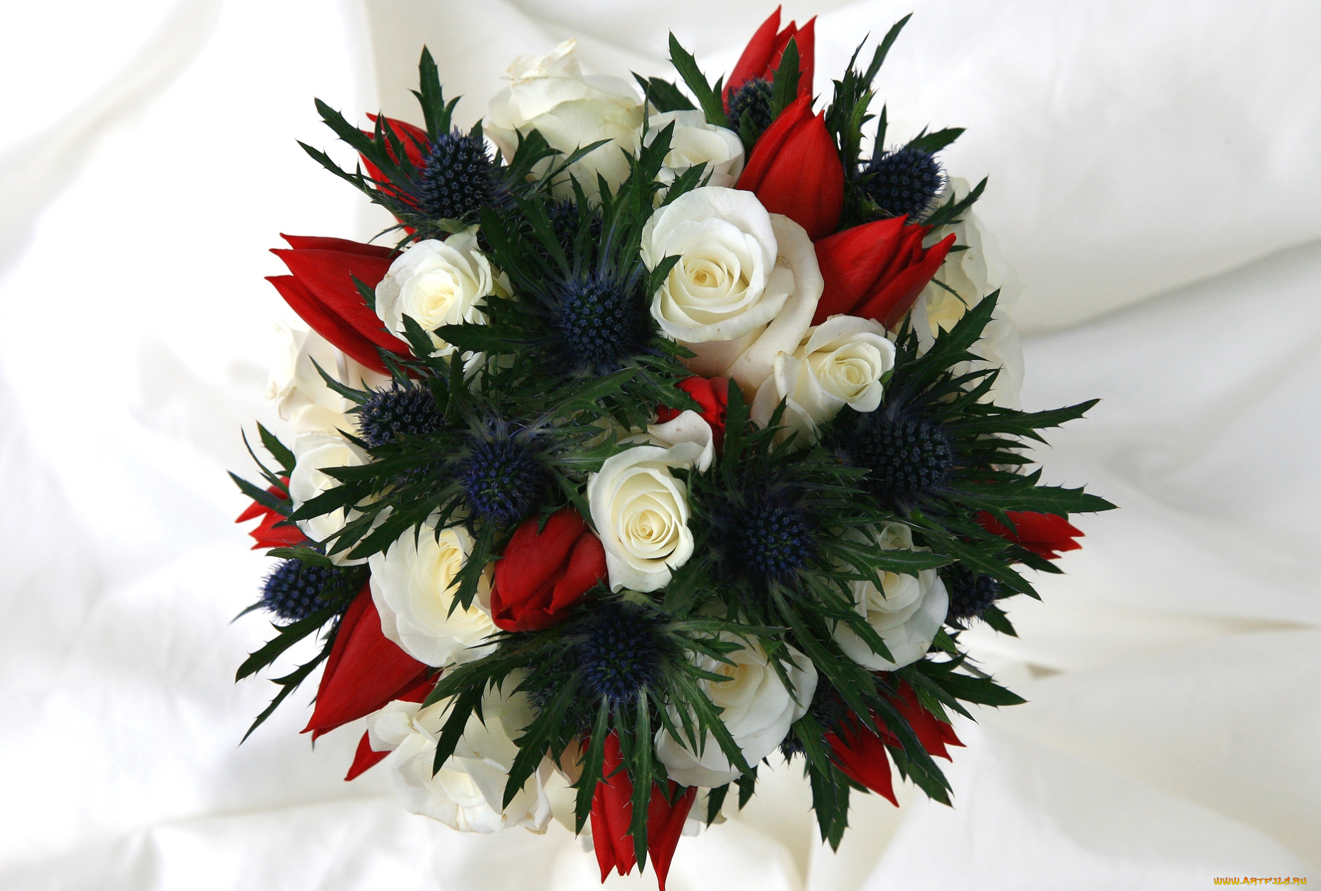 цветы, букеты, композиции, колючки, тюльпаны, розы