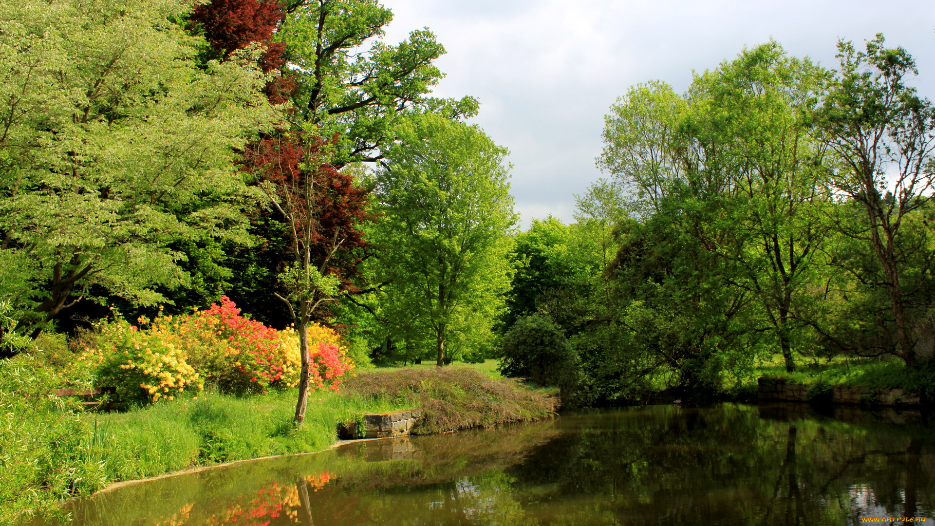 Чехия, pruhonice, природа, реки, озера, река