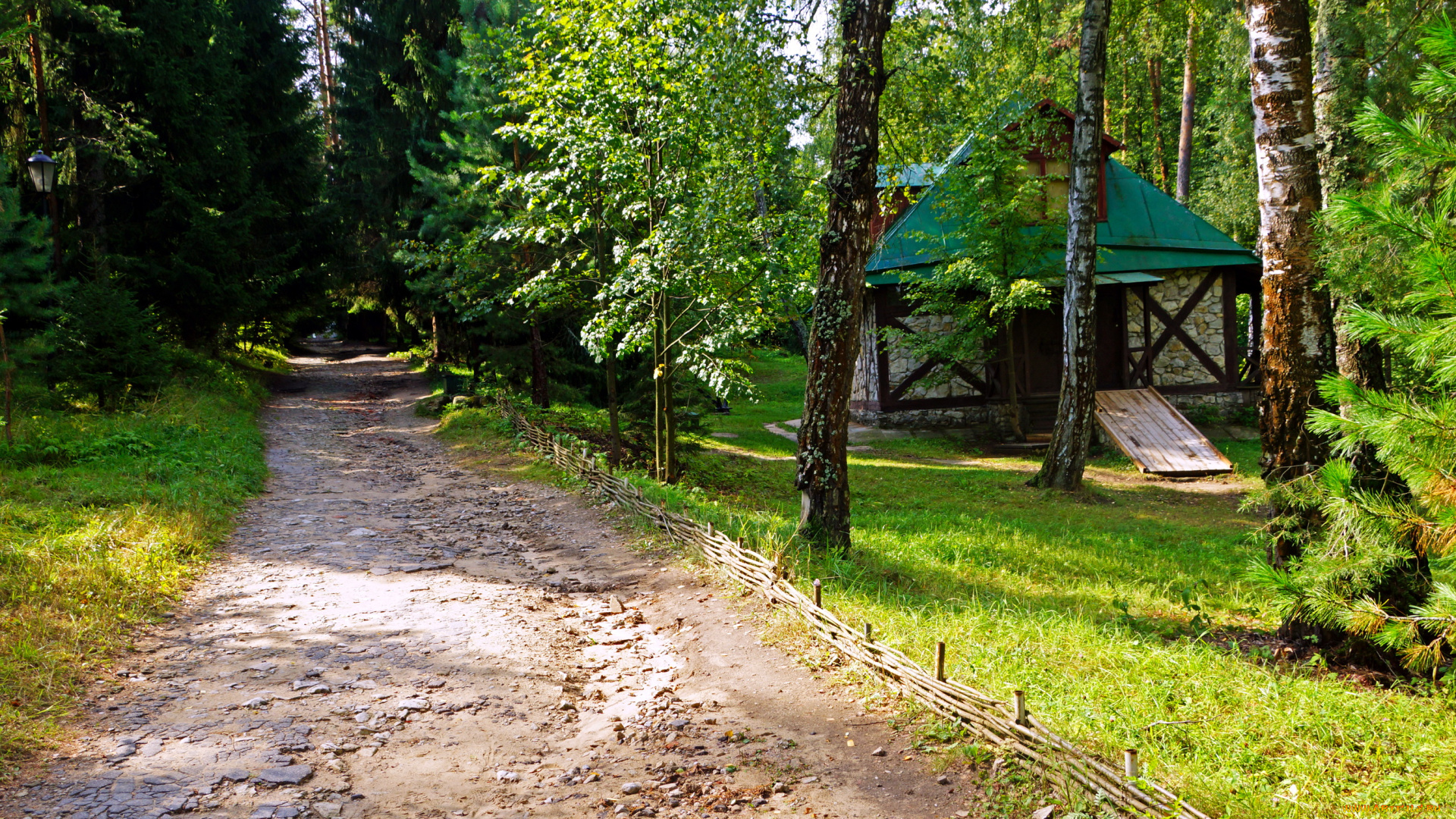 калужская, область, поленово, природа, деревья, лес, дорога