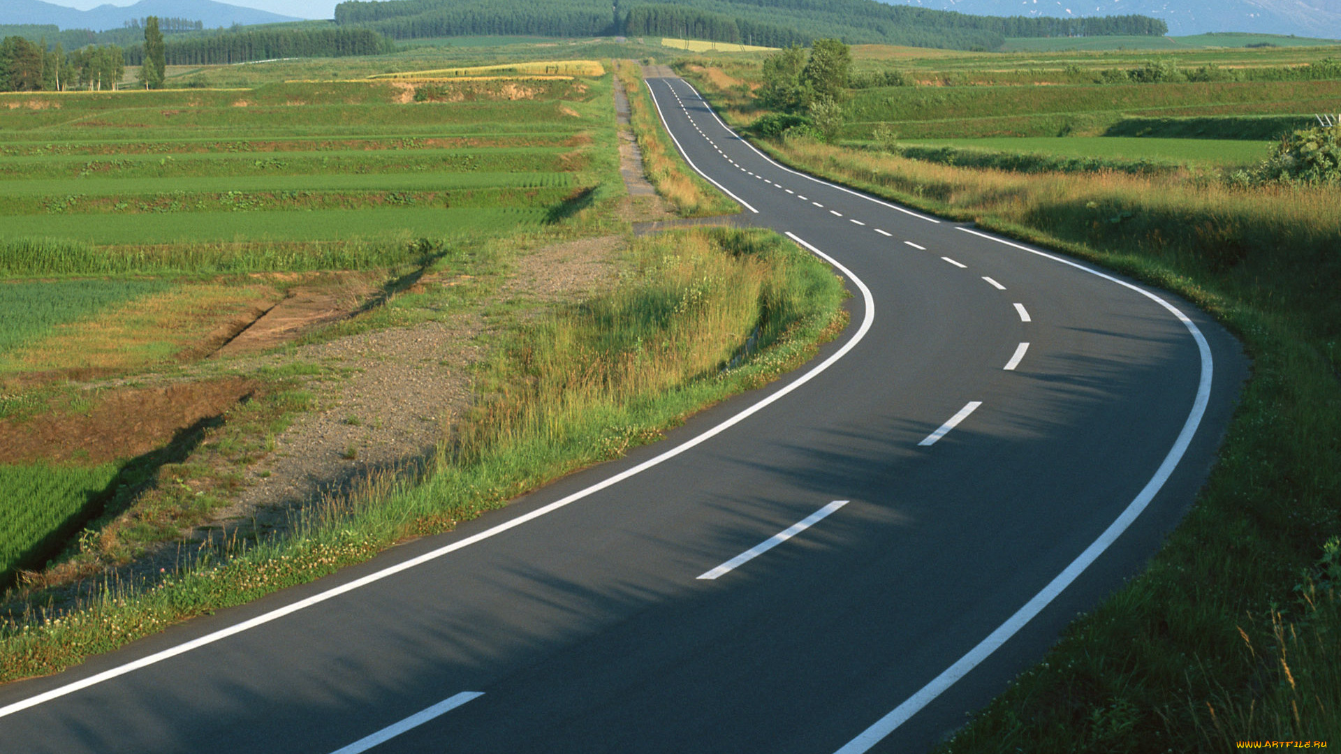 природа, дороги, дорога, разметка