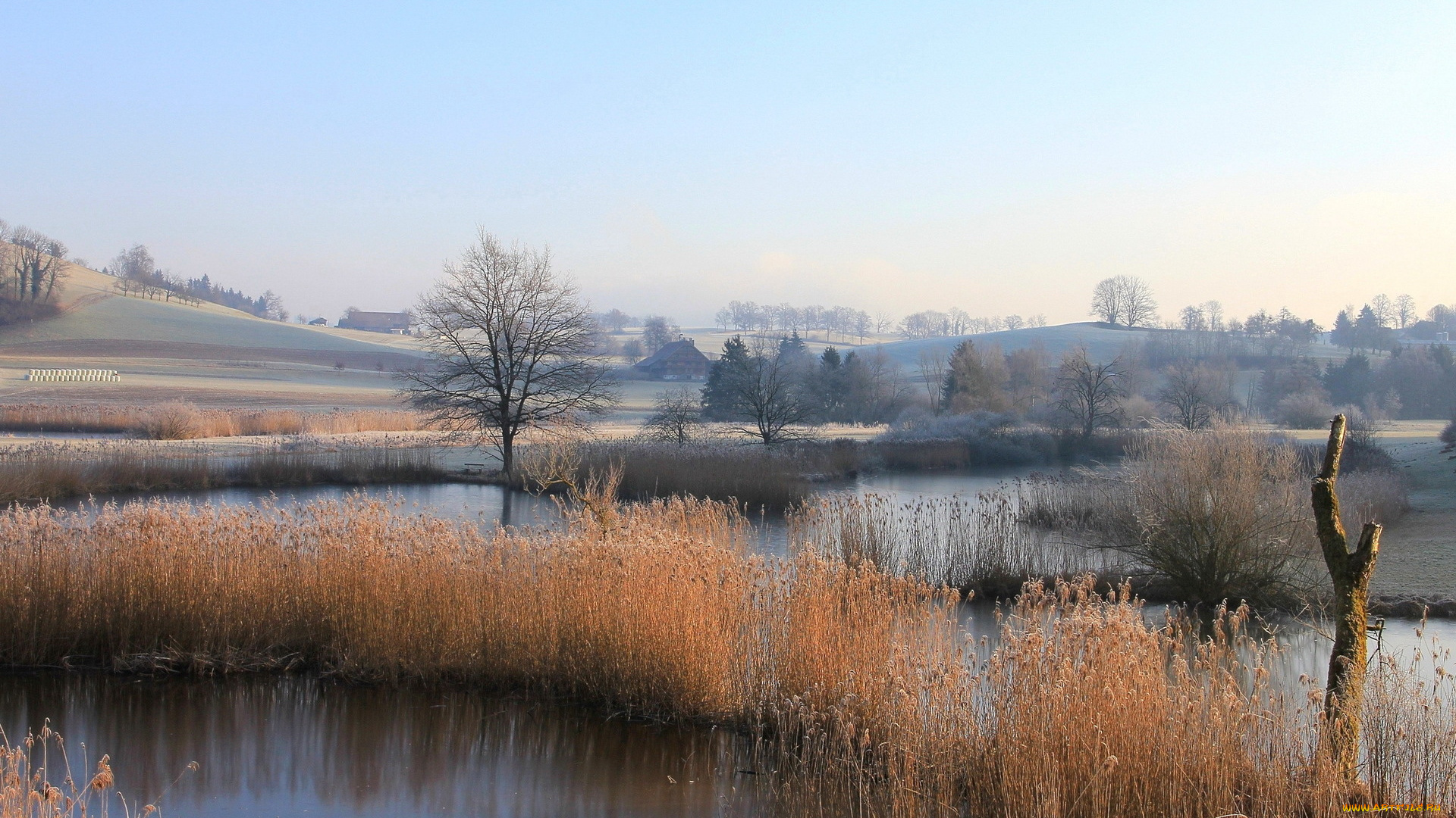 природа, реки, озера, водоем, деревья, дома, камыш, осень