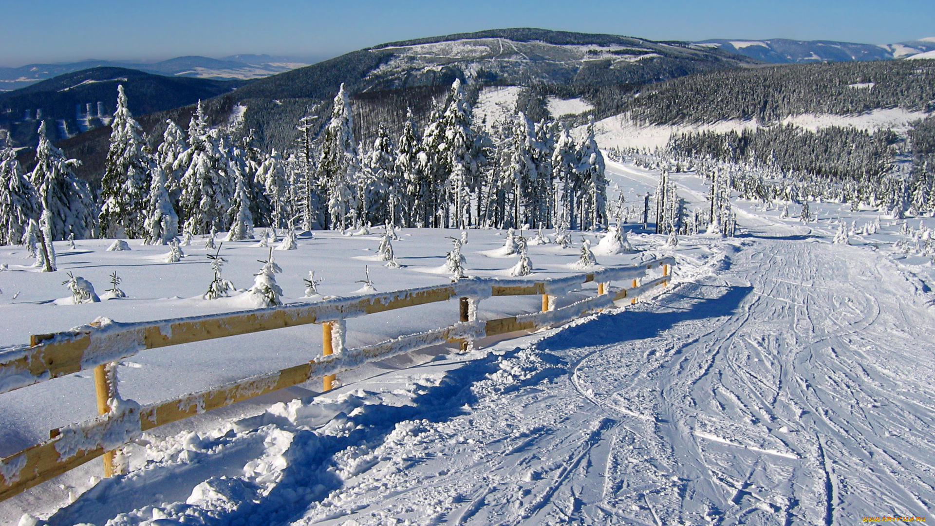 природа, зима, снег, дорога, лес