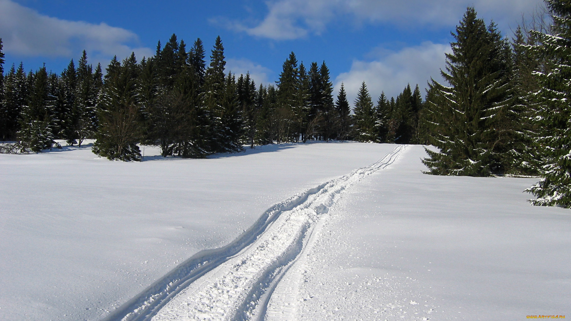 природа, зима, снег, дорога, лес
