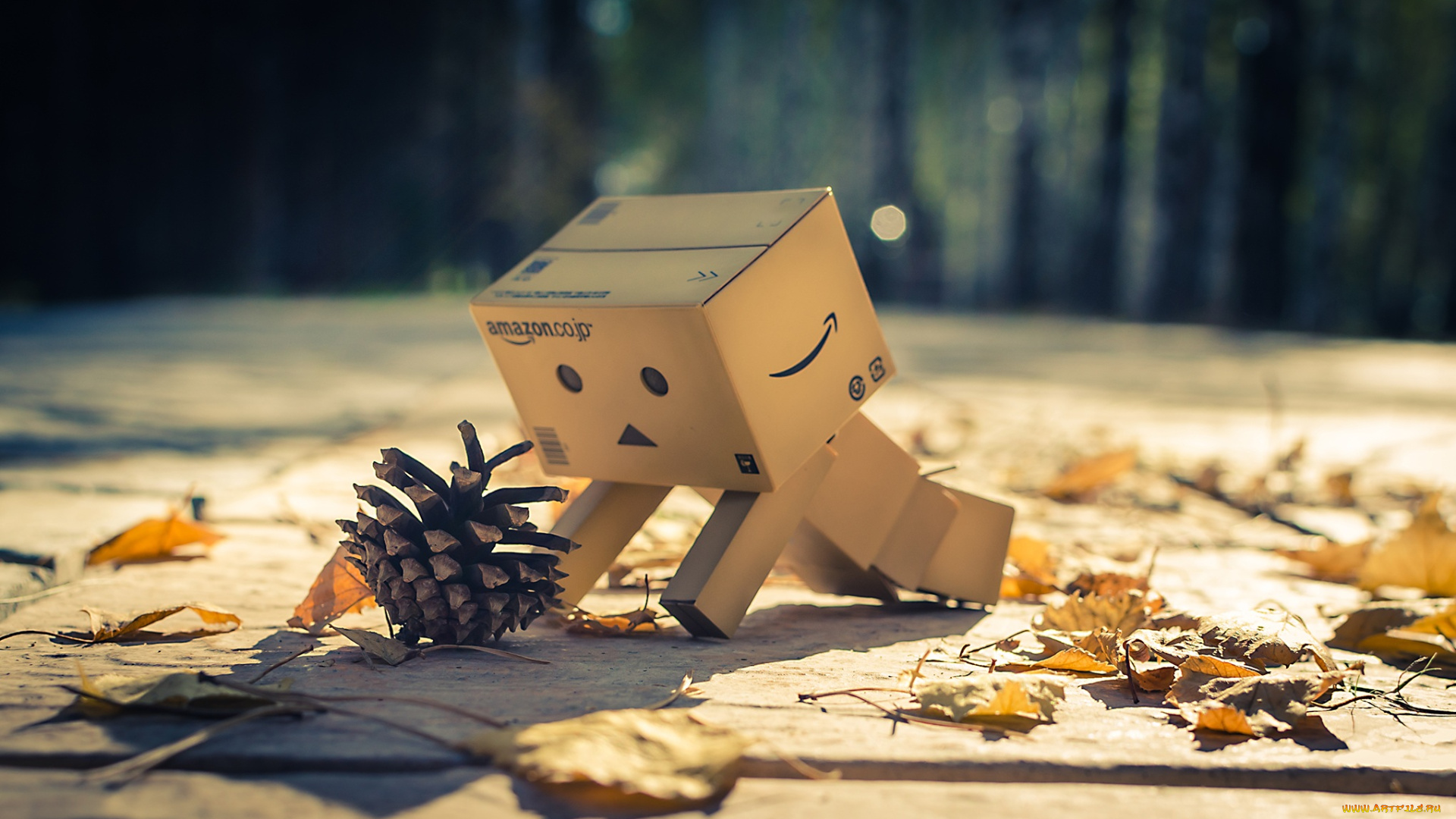 разное, данбо, danboard, шишка, коробка