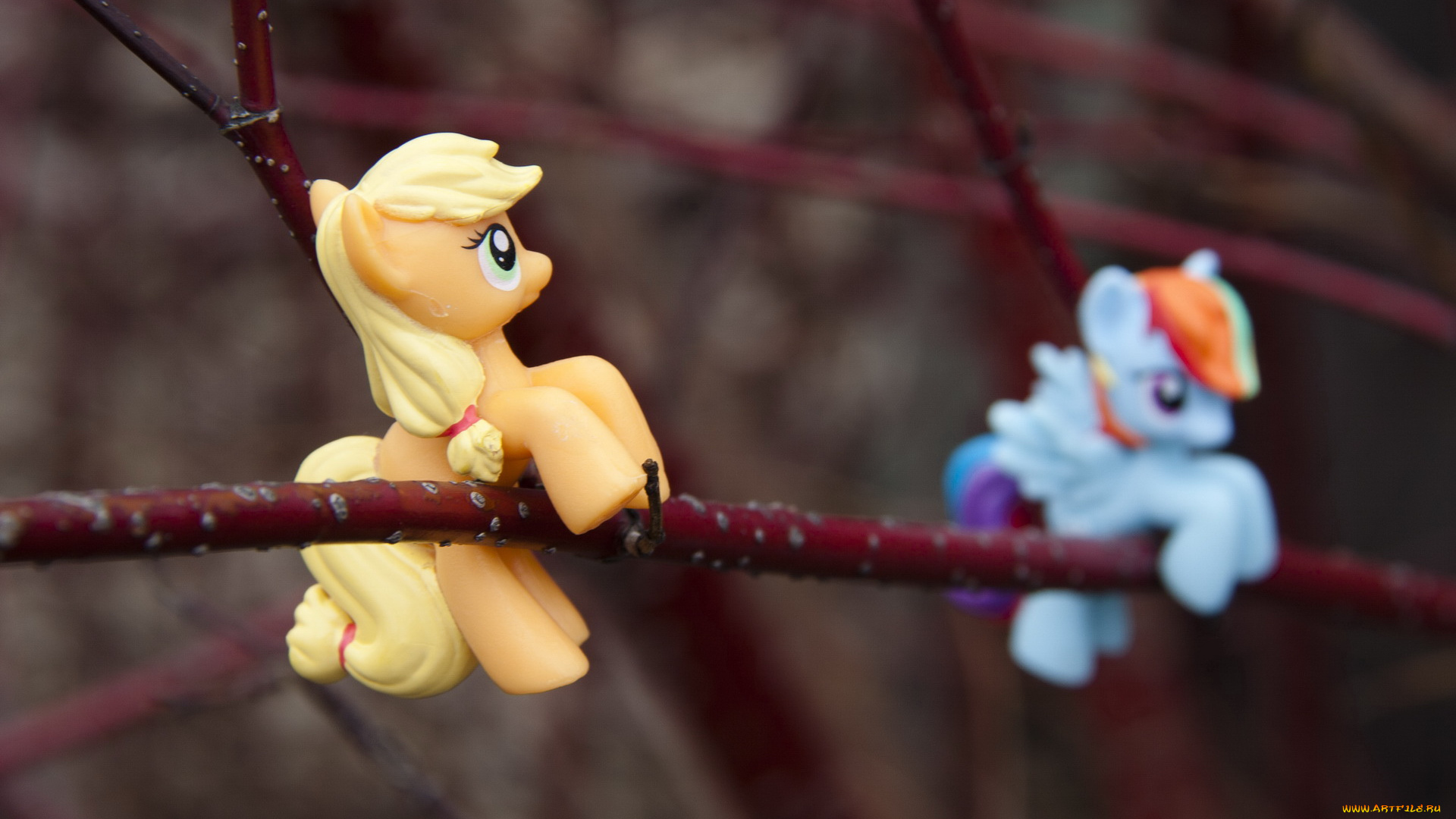 разное, игрушки, ветка, лошадка