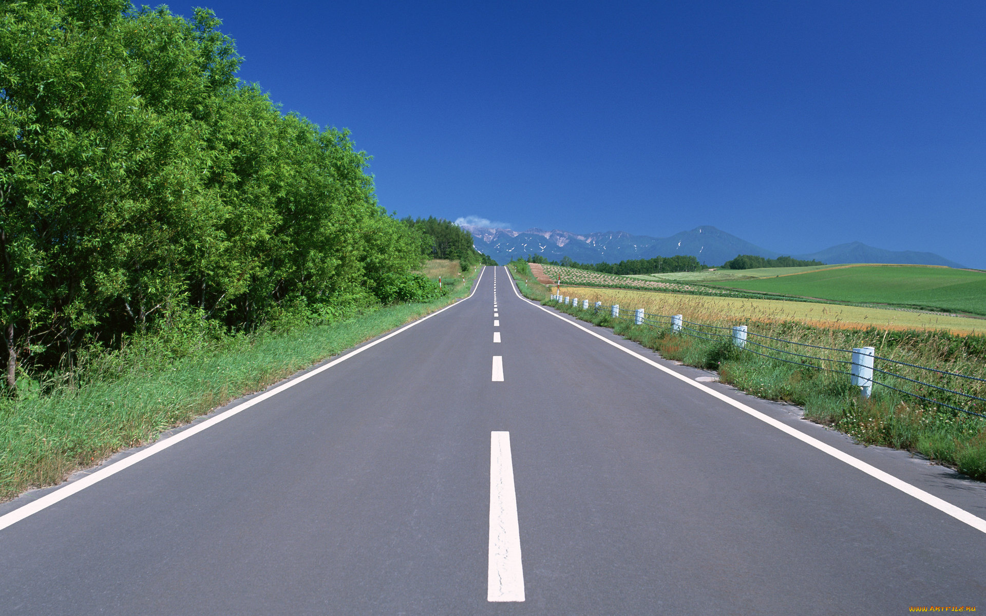 природа, дороги, дорога, разметка